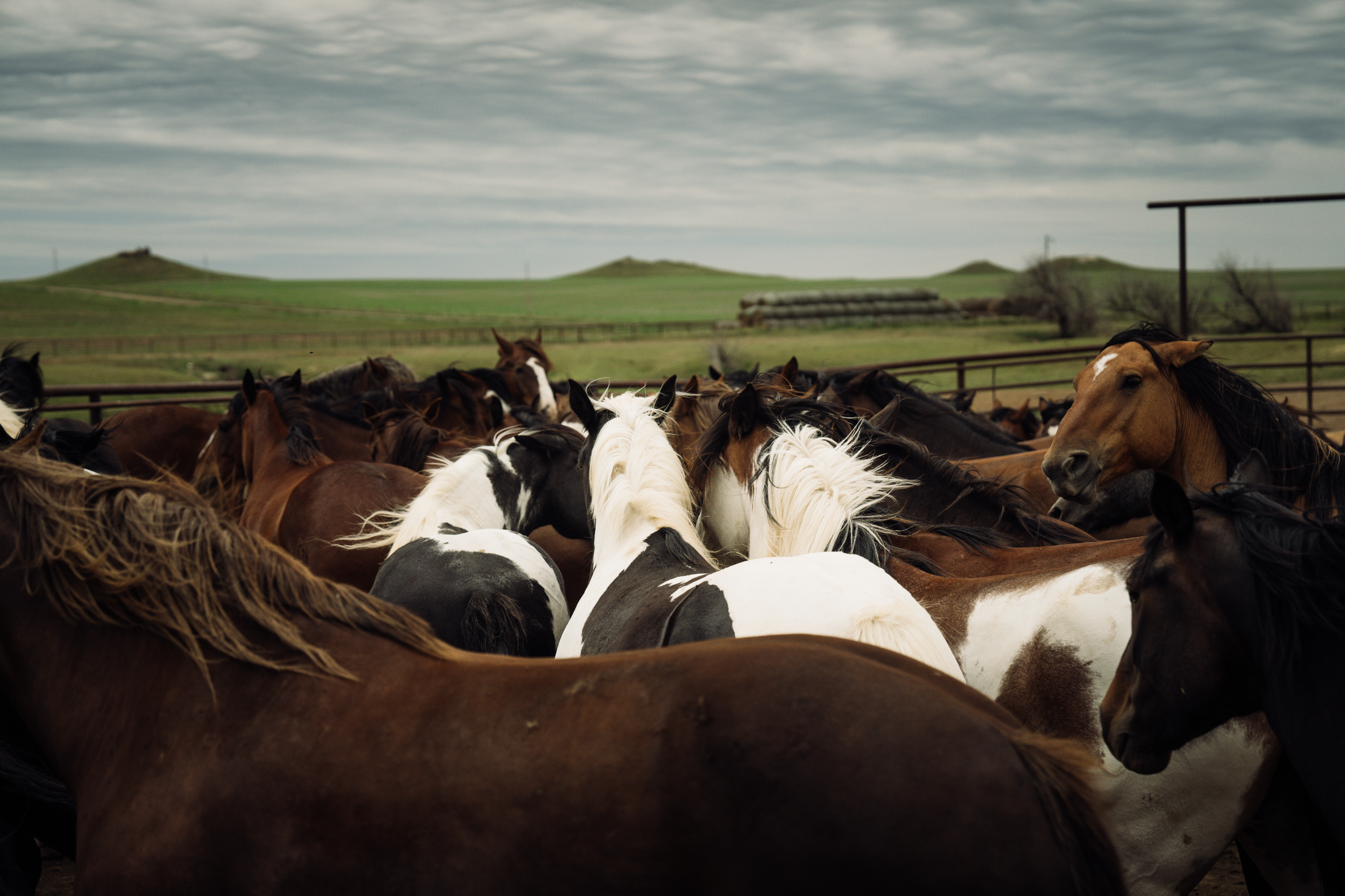 Screenshot 2025-05-13 at 7.55.02 PM.png