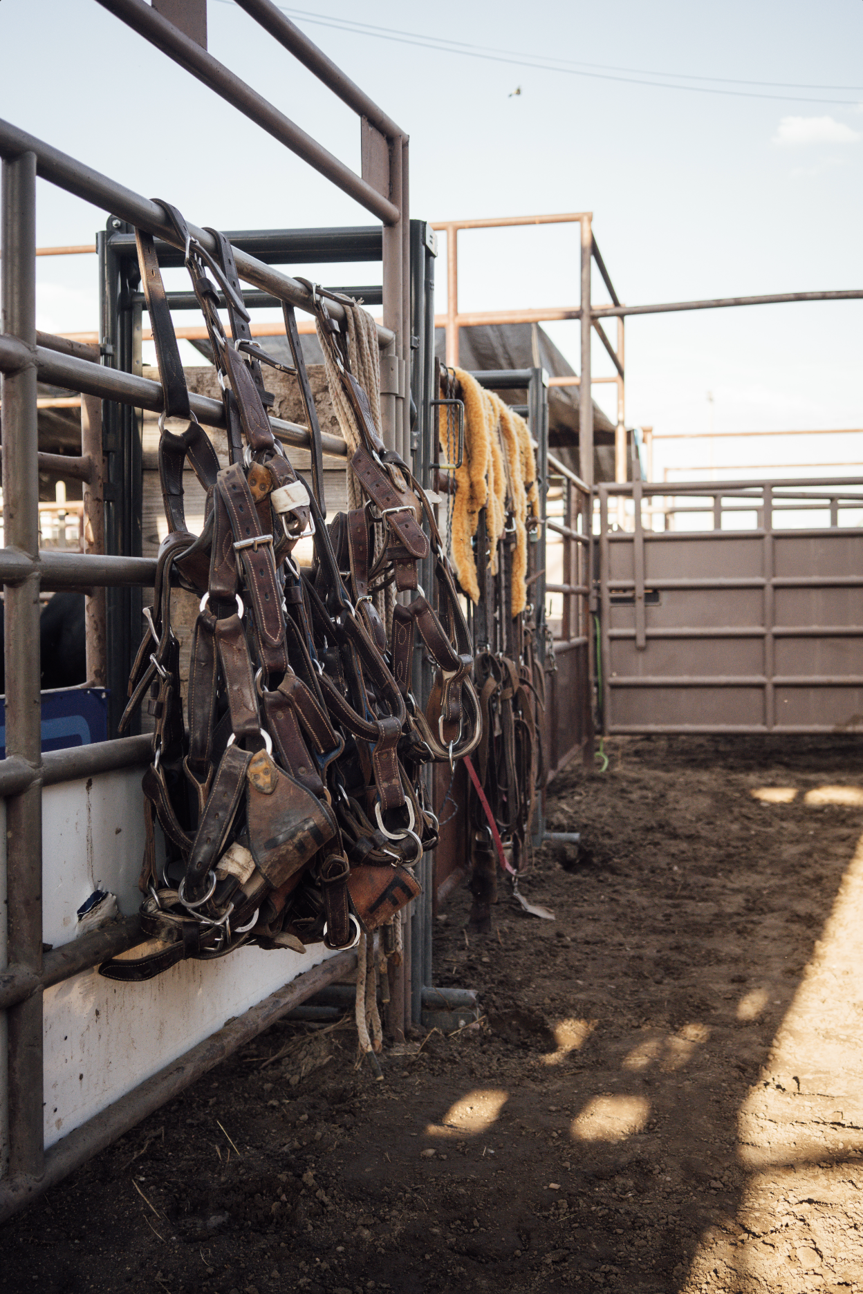 Screenshot 2025-05-14 at 11.15.40 AM.png