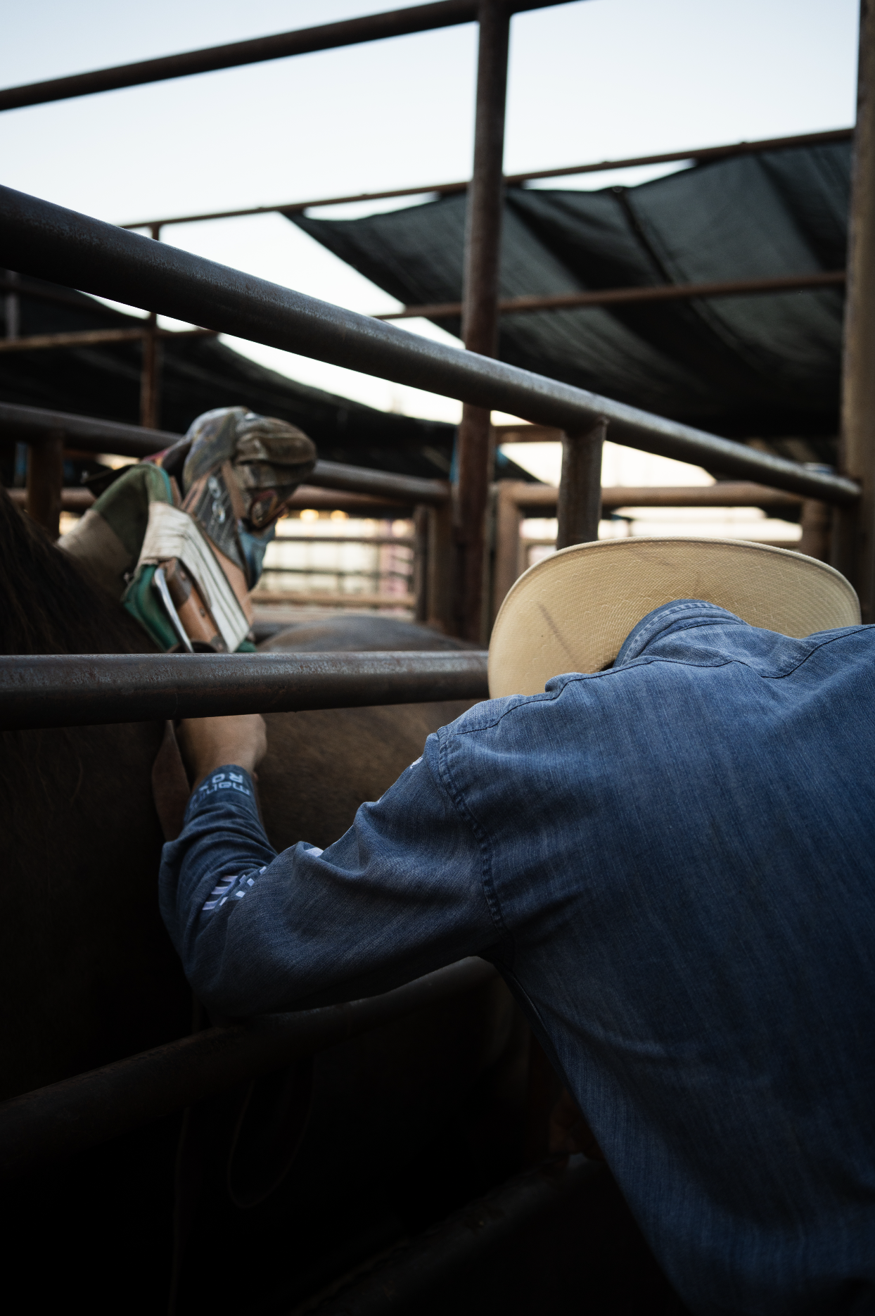 Screenshot 2025-05-14 at 11.14.36 AM.png