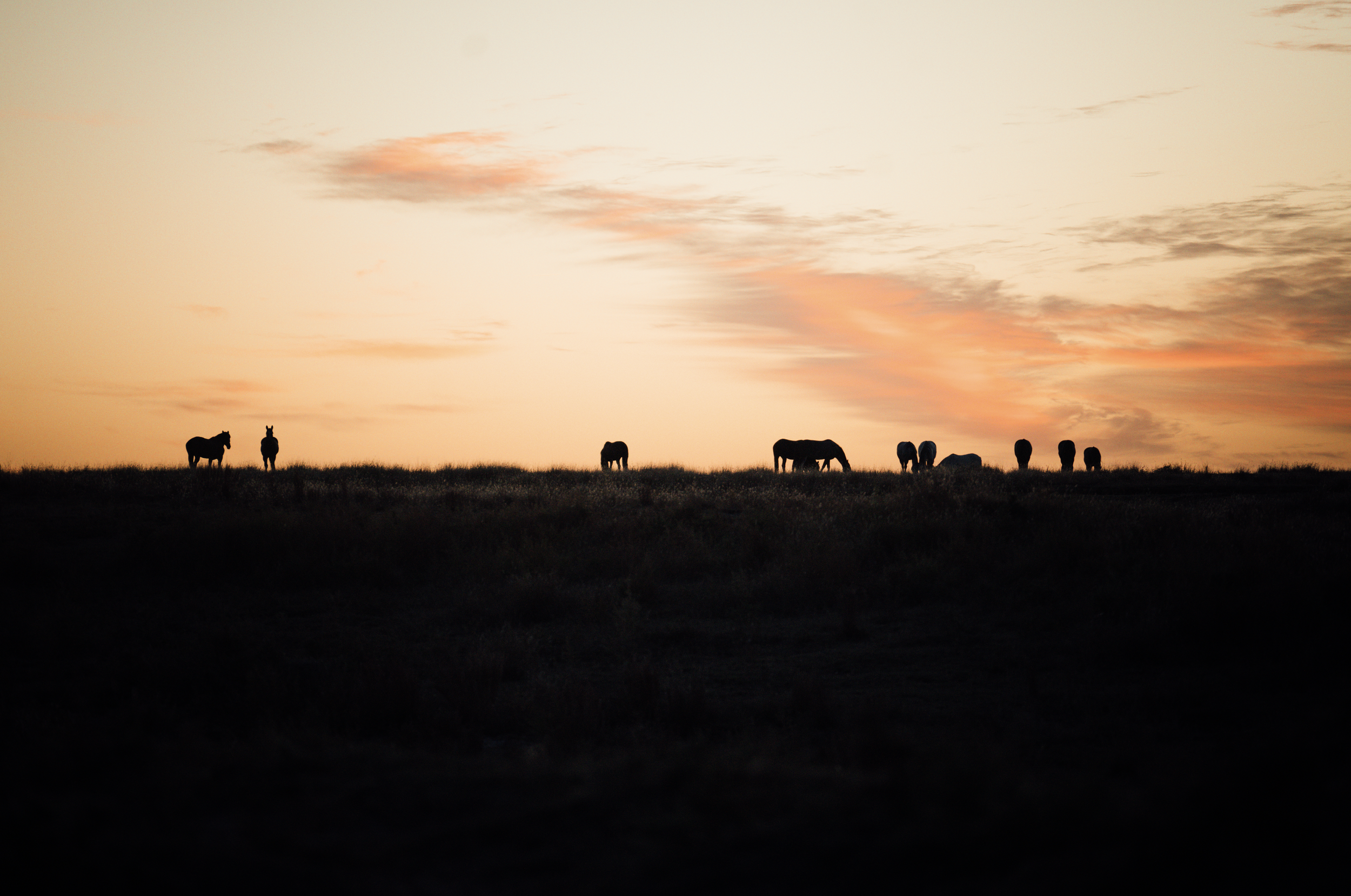 Screenshot 2025-05-13 at 7.00.43 PM.png