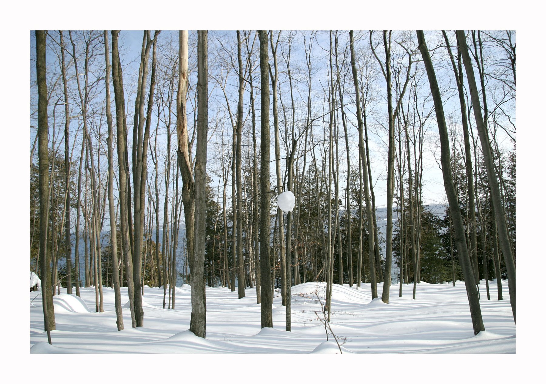 Snowblob#1.300.jpg