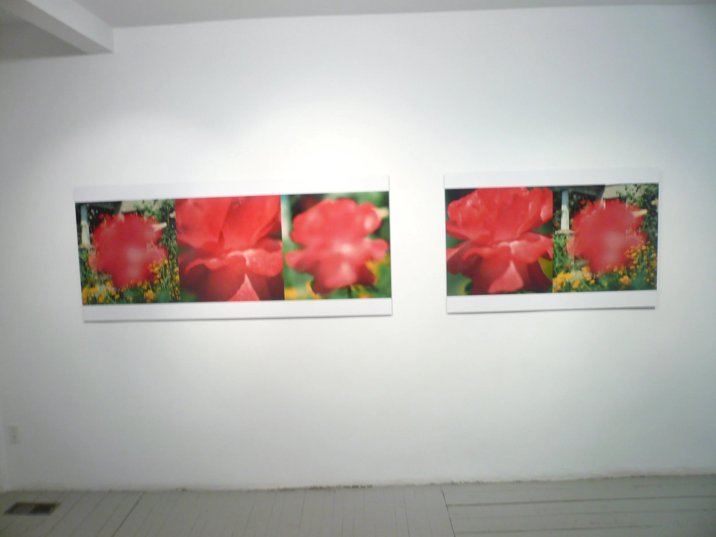 P1010180.JPG