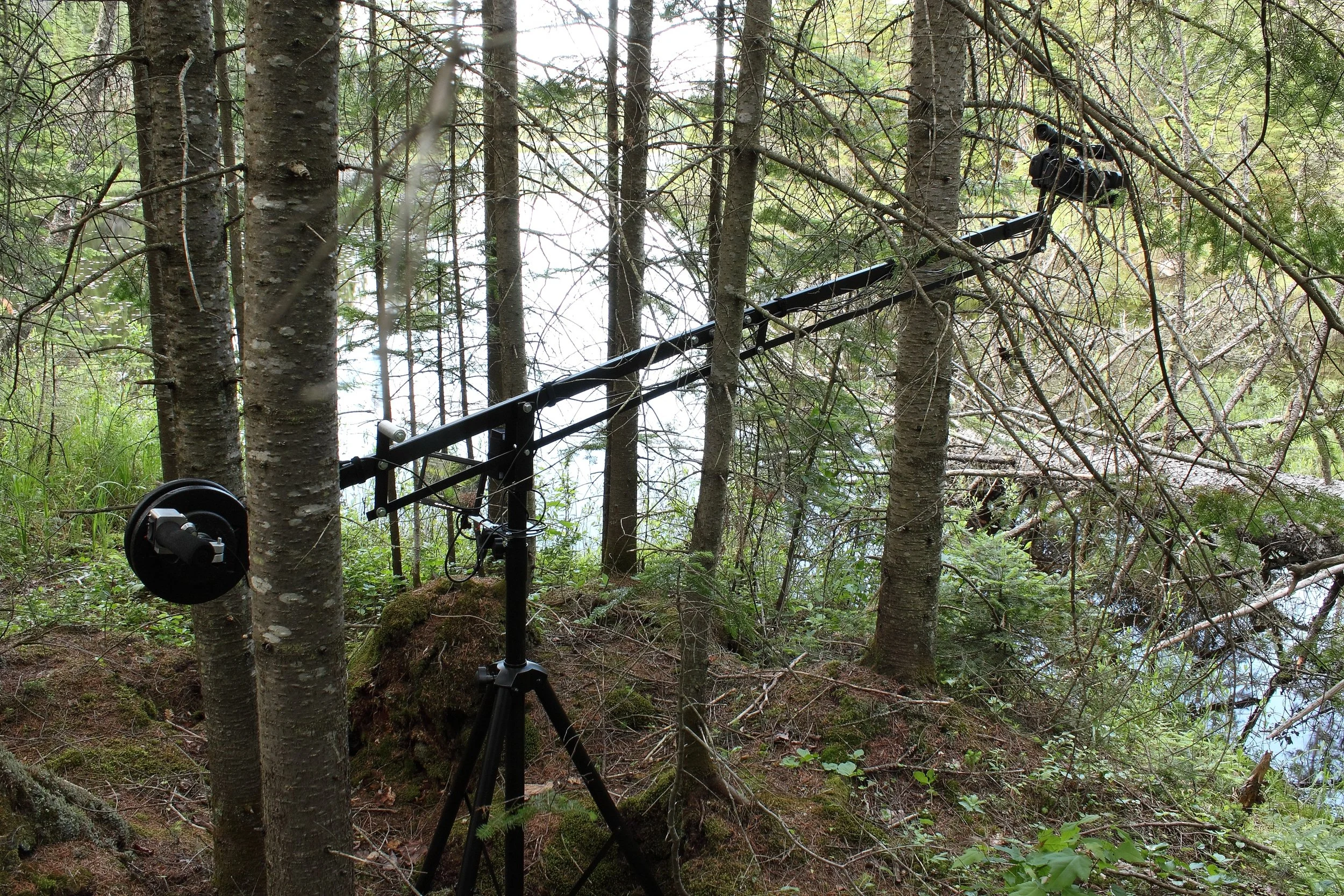 Sasaki.NorthernRiverCameraCrane.jpg