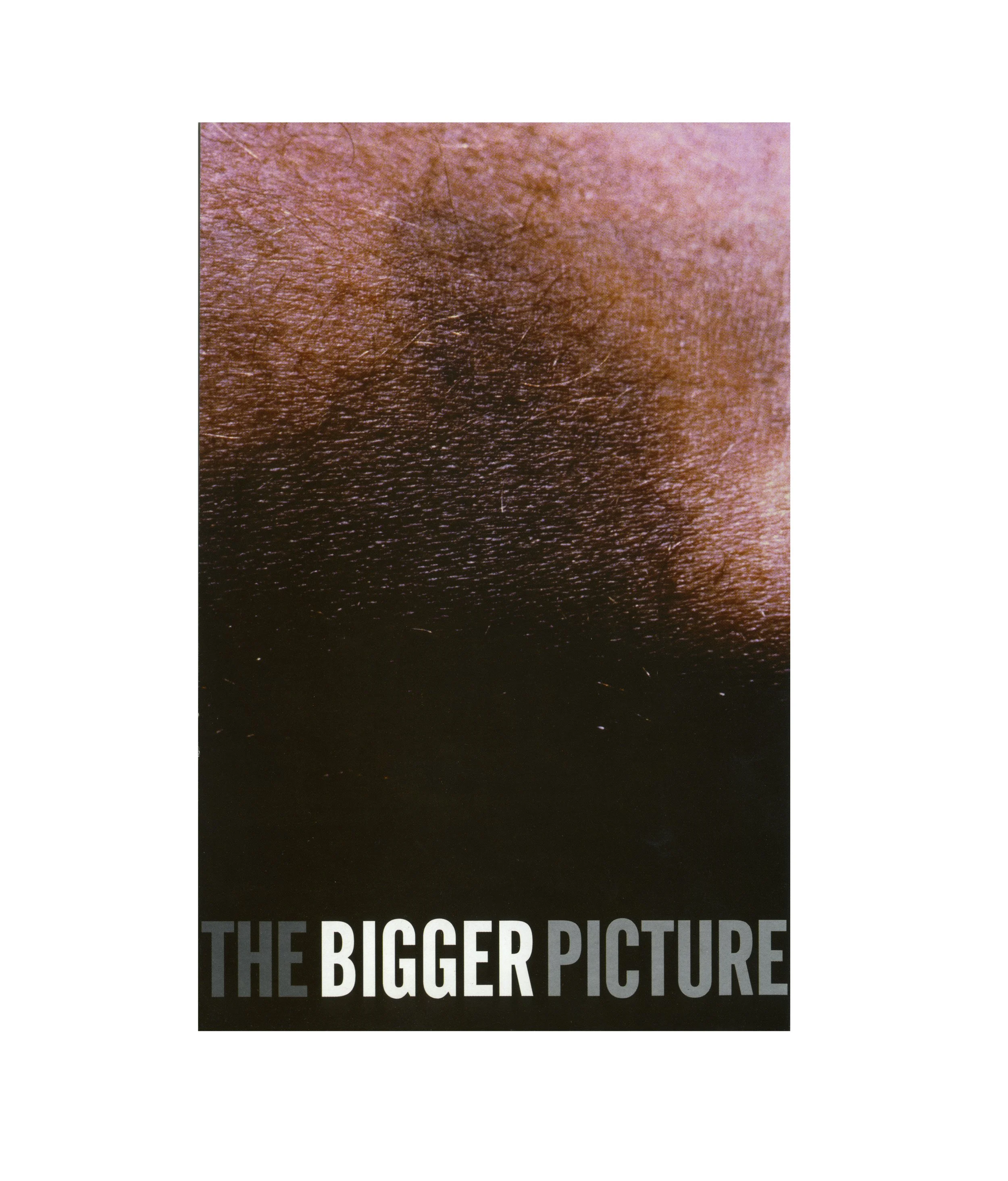The Bigger Picture (2000)