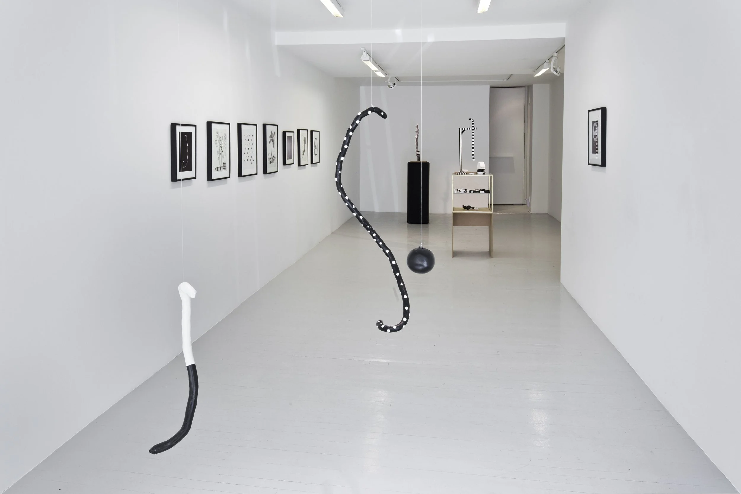 ZT_SnakesDots.install.north2.jpg