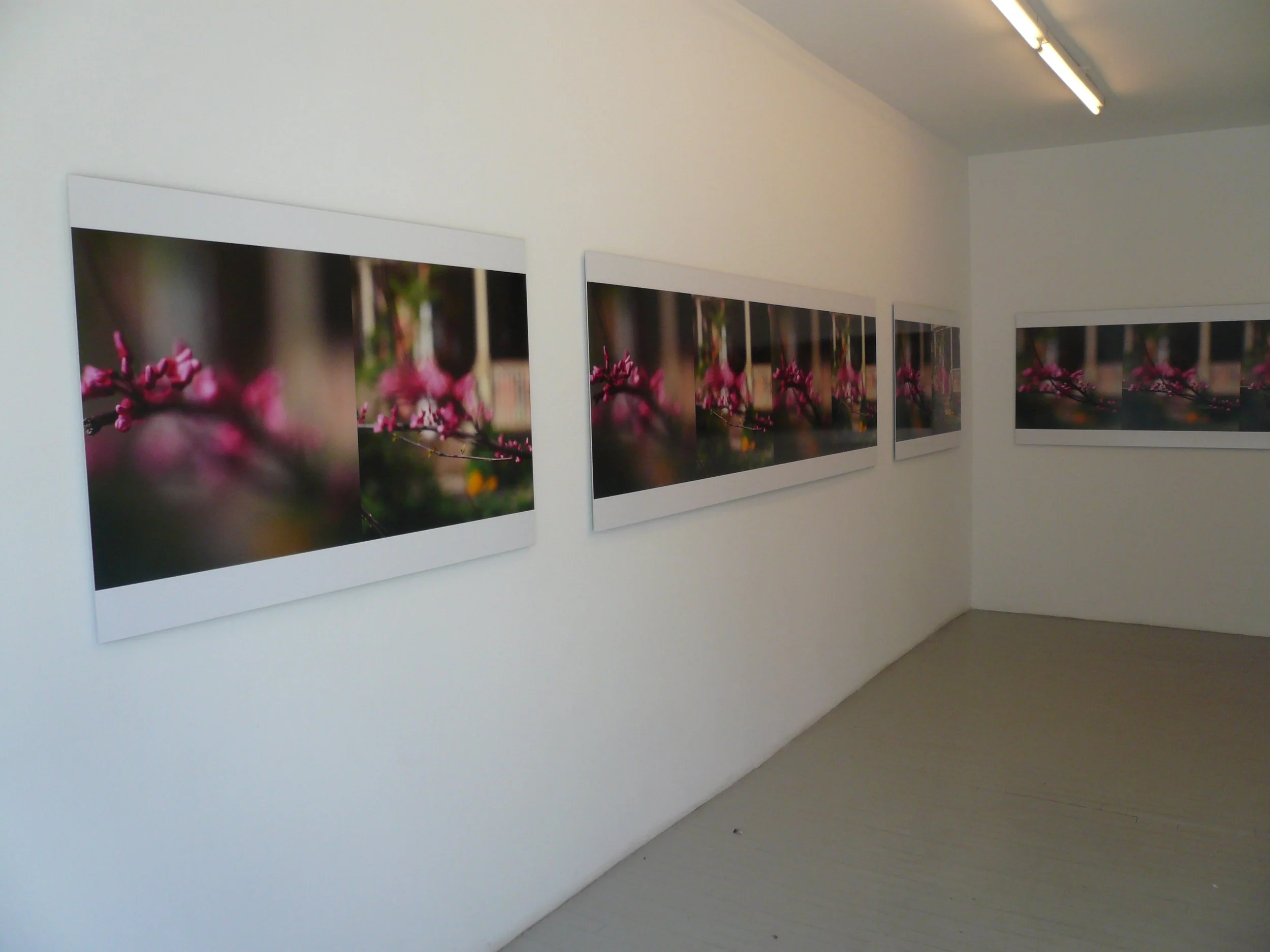 P1010195.JPG