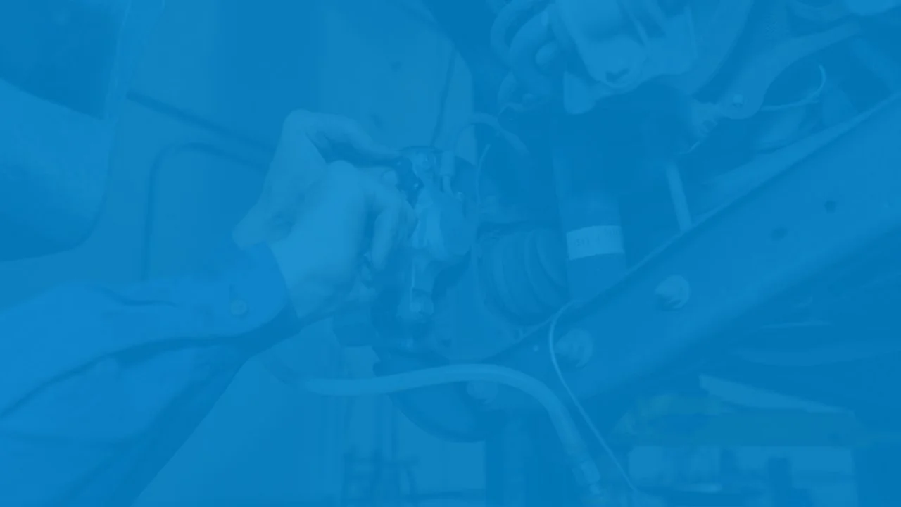 Automotive Evolution