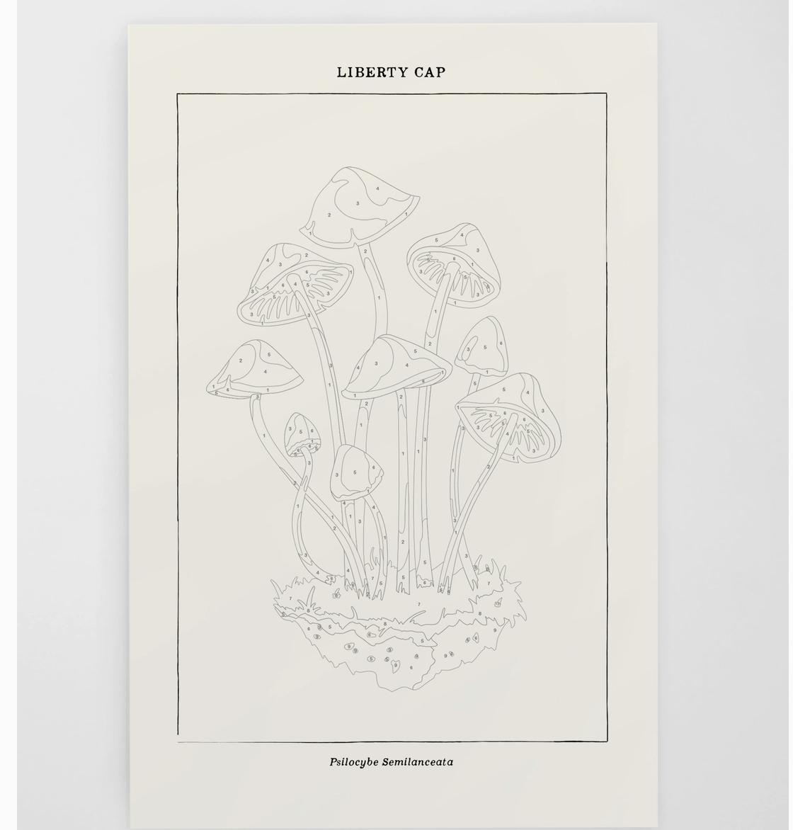 Screenshot 2026-02-02 at 6.02.51 PM.png