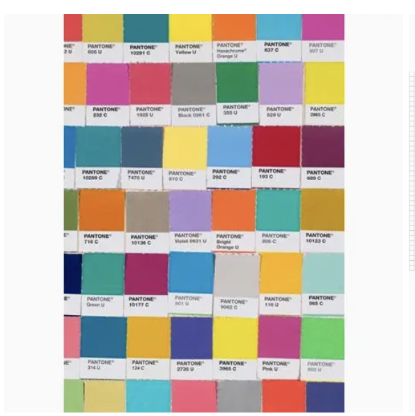 Pantone Chips Journal