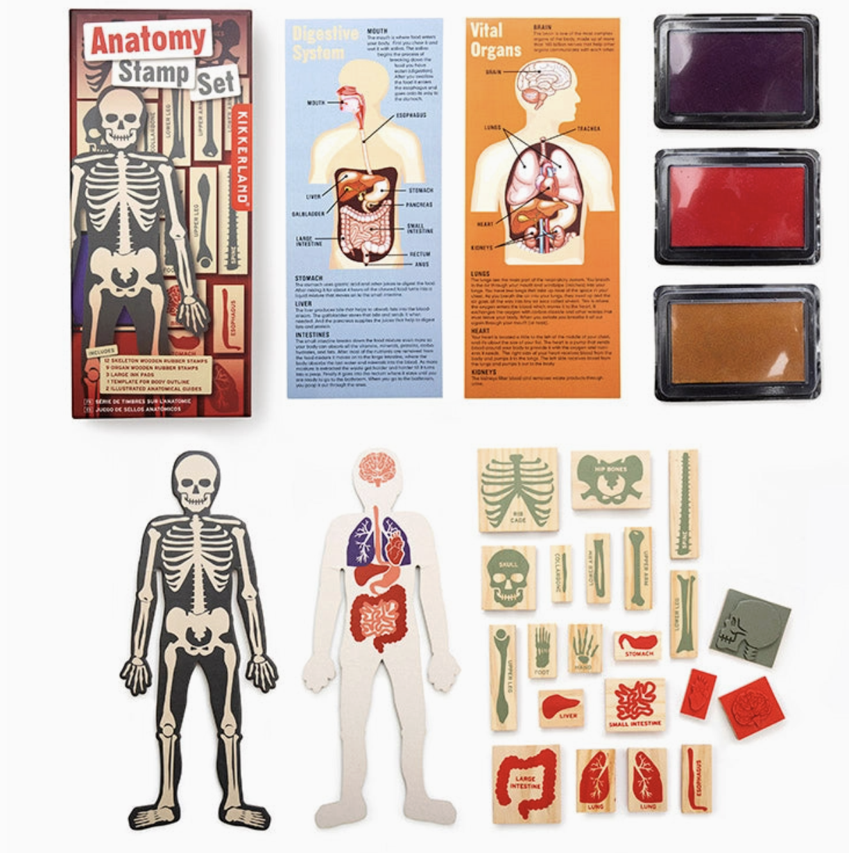 Screenshot 2026-01-31 at 12.02.40 PM.png