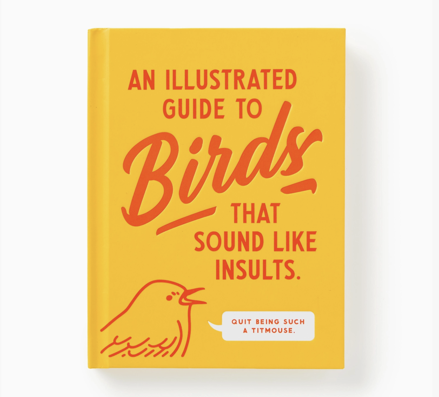 Illustrated Guide To Birds