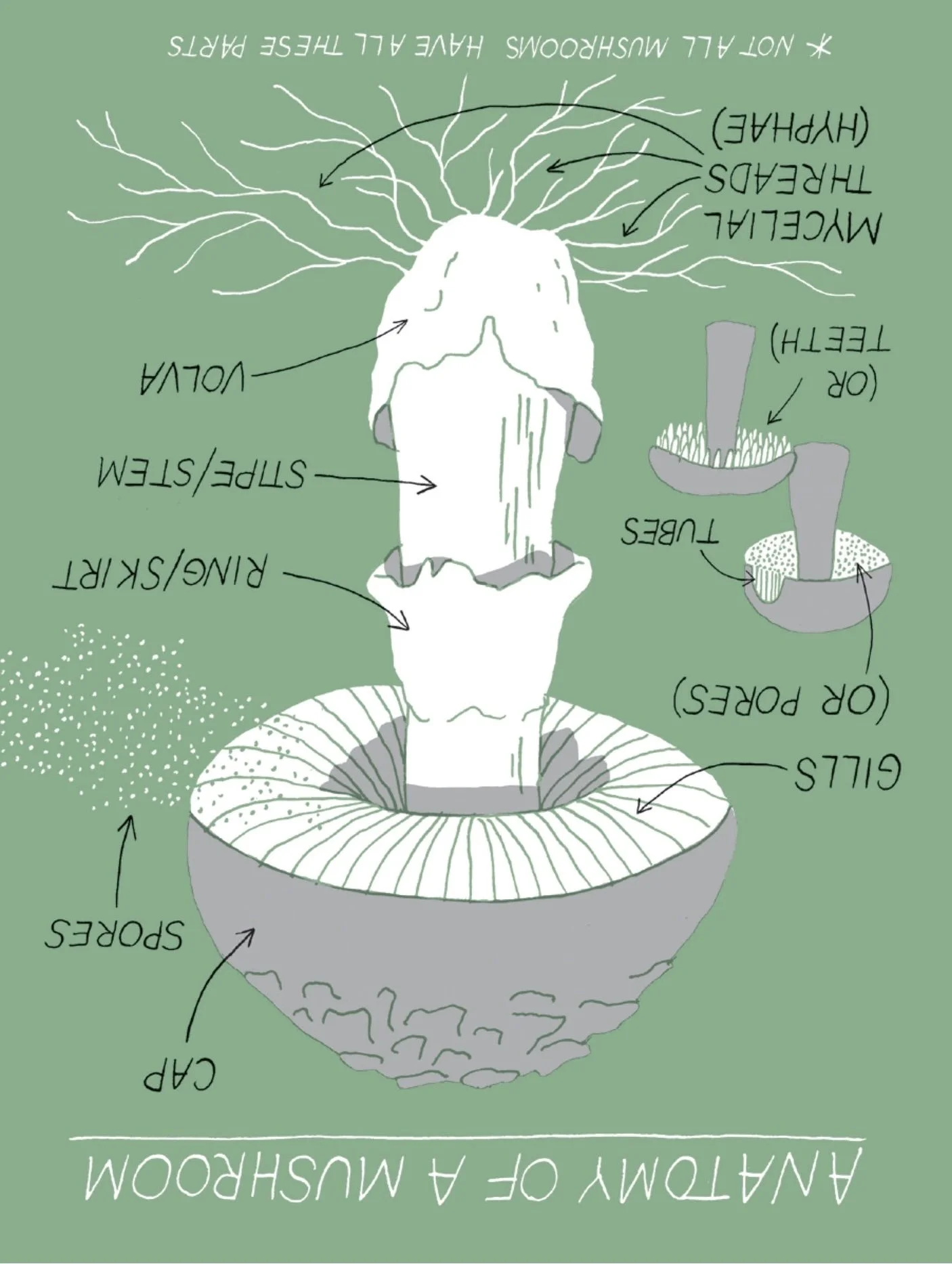 e90b49f54516e13f8b353c1198e98d6010e8438470c015b46612f203d0e9625b.jpeg copy.jpg