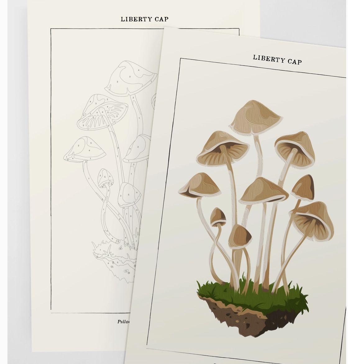 Mushroom Botanical | Modern Paint By Numbers Kit