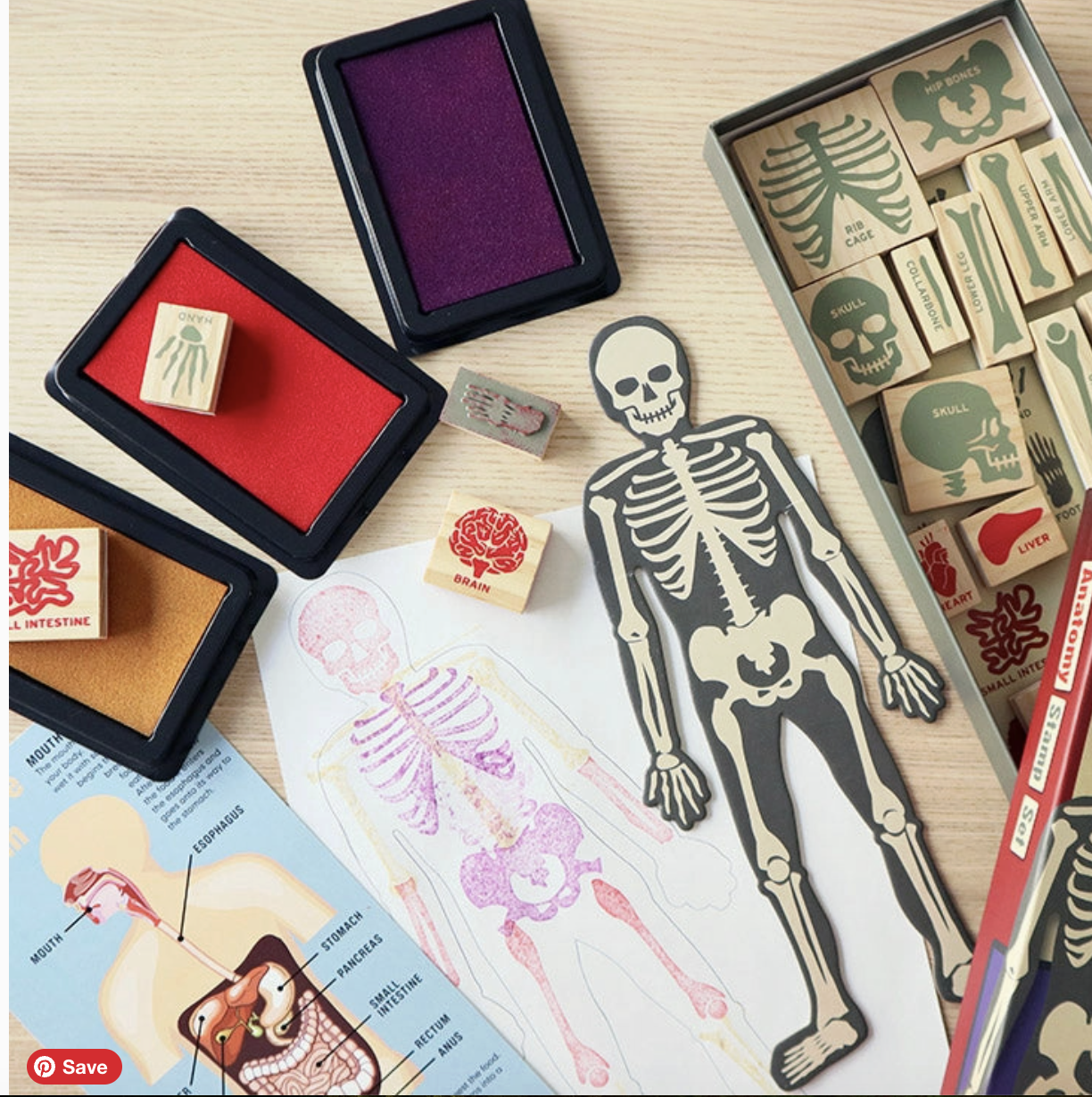 Screenshot 2026-01-31 at 12.02.46 PM.png