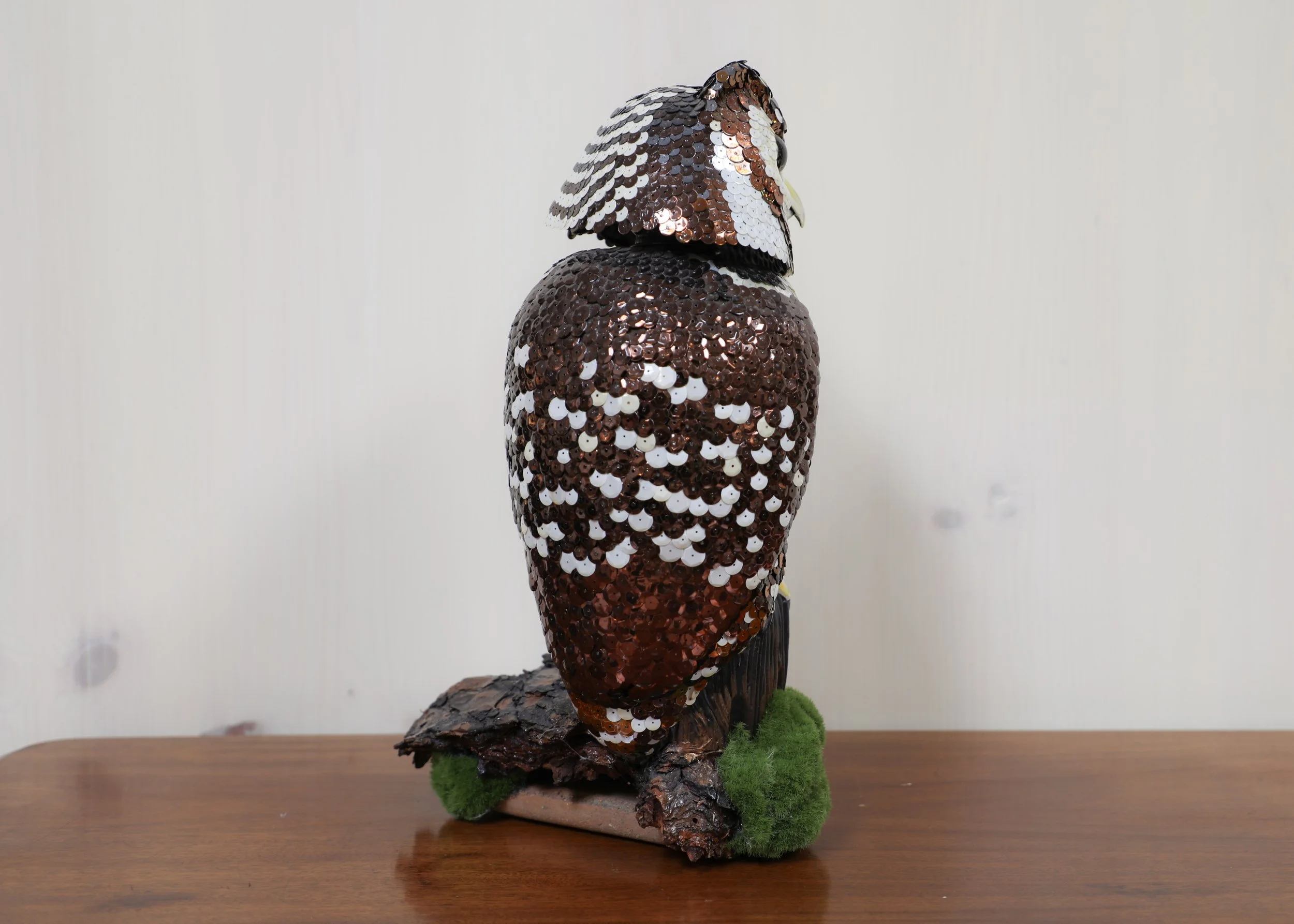 22-Jan 7 2024-431.jpg