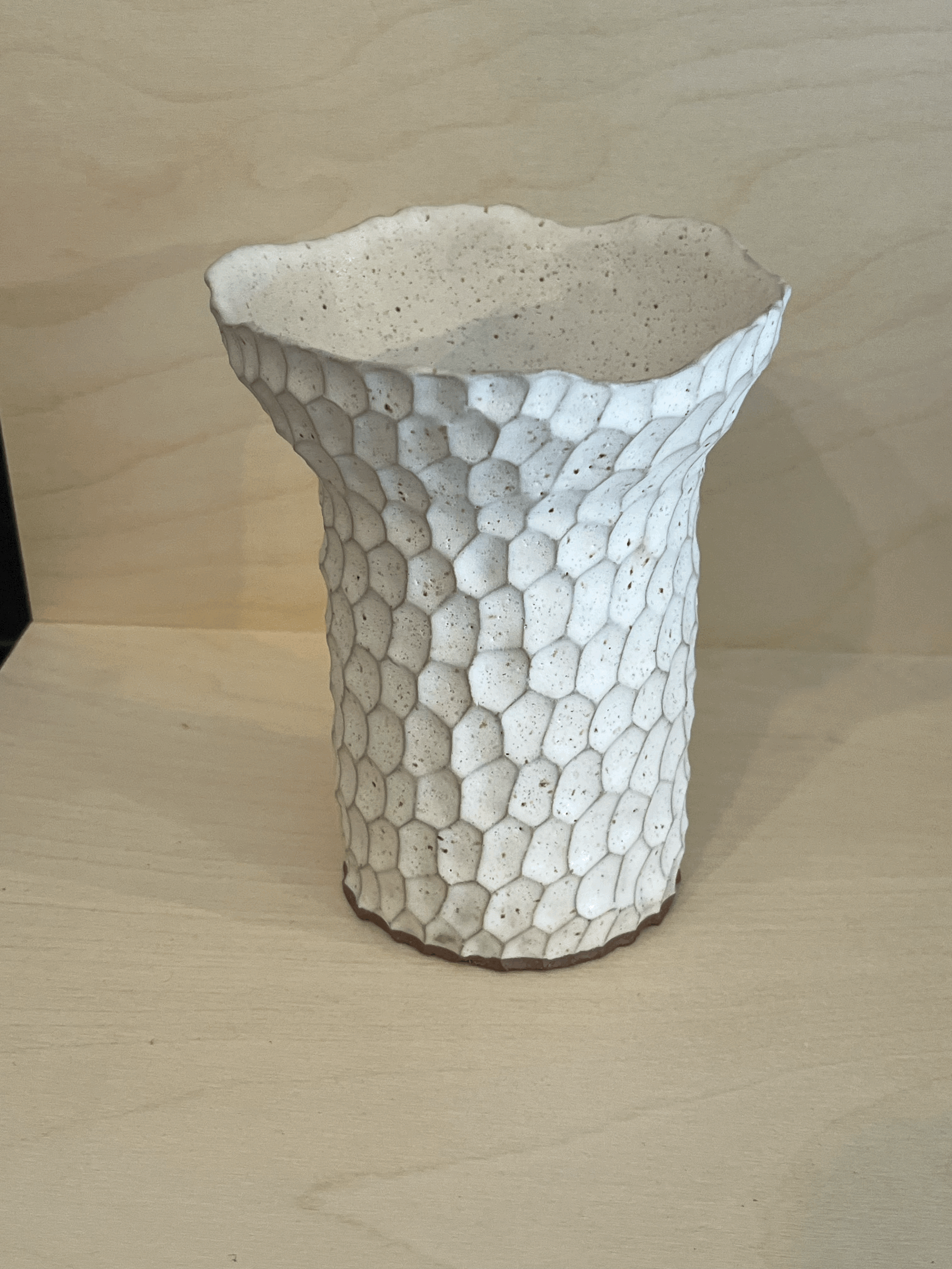 tempImageO1UvjT.gif