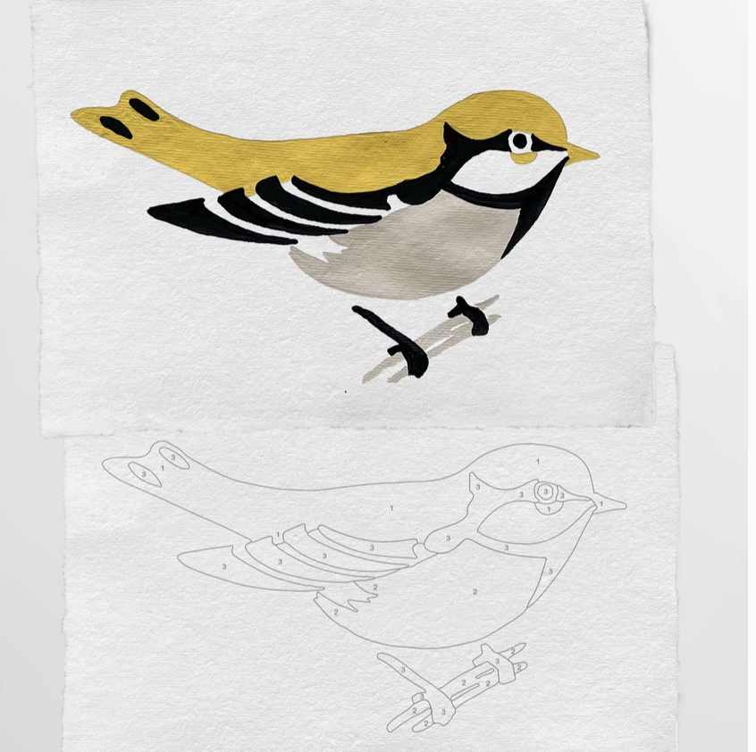Bird Study : Goldfinch  |  Modern Paint By Numbers Kit