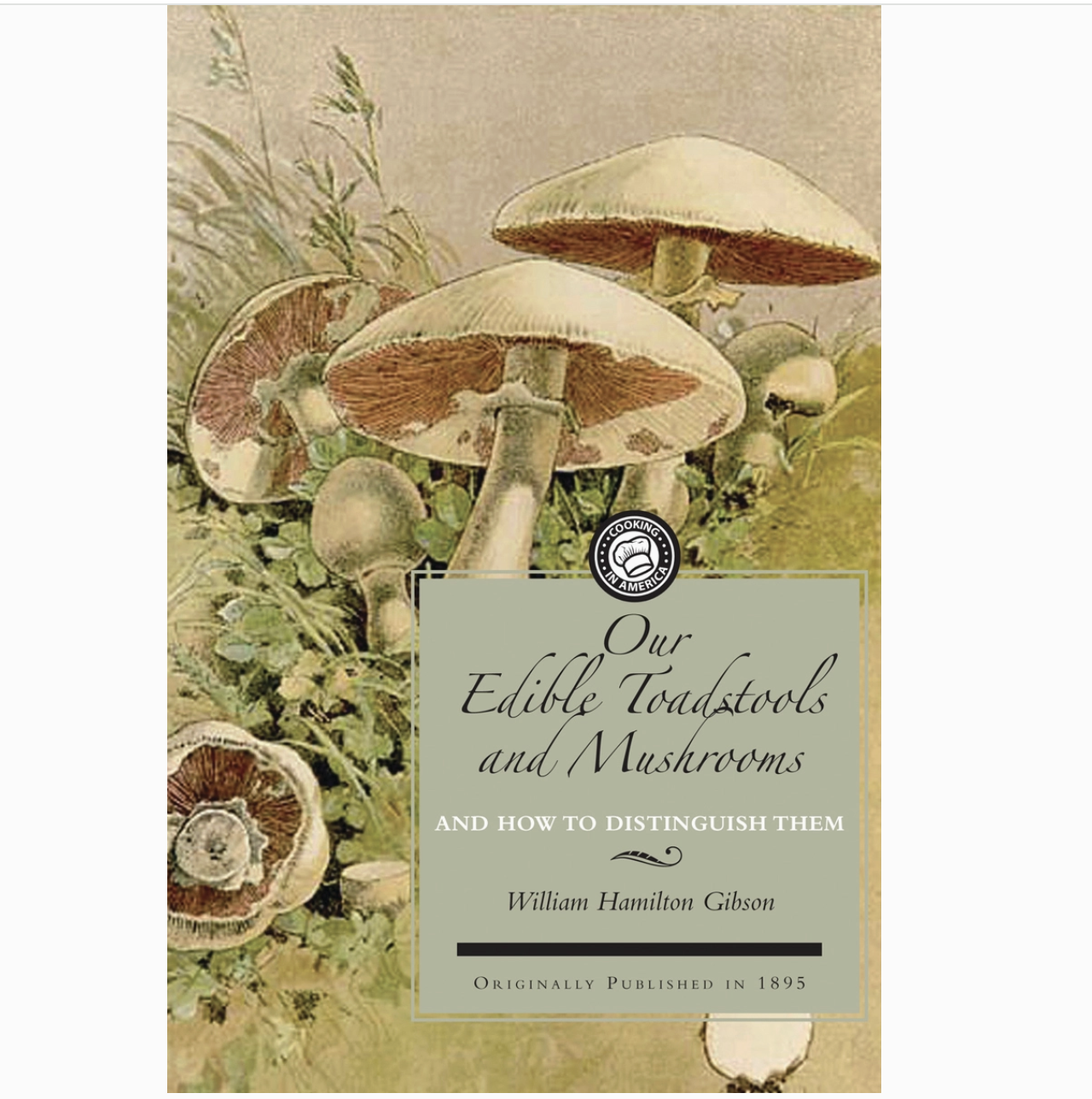 EDIBLE TOADSTOOLS AND MUSHROOMS & HOW TO DISTINGUISH THEM