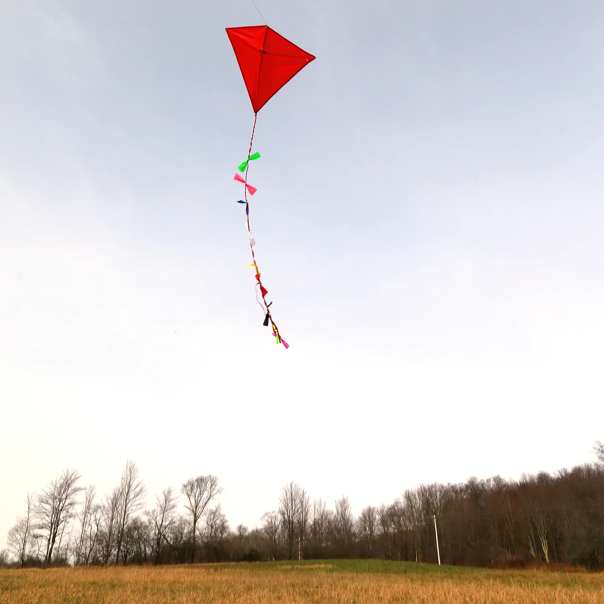 HB11_Huckleberry_Kite_Action1.jpg.webp
