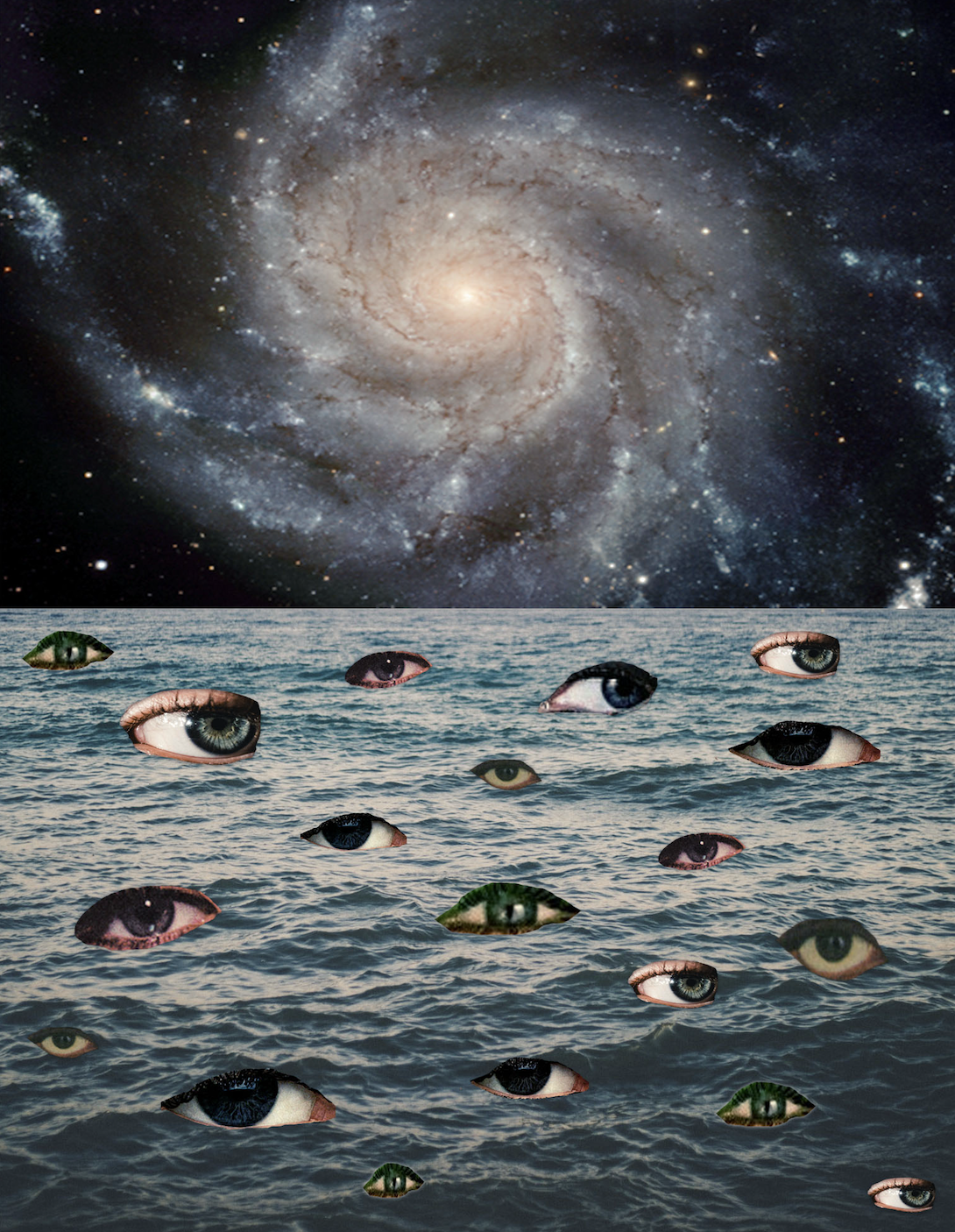 Screenshot 2026-02-05 at 1.23.17 PM.png