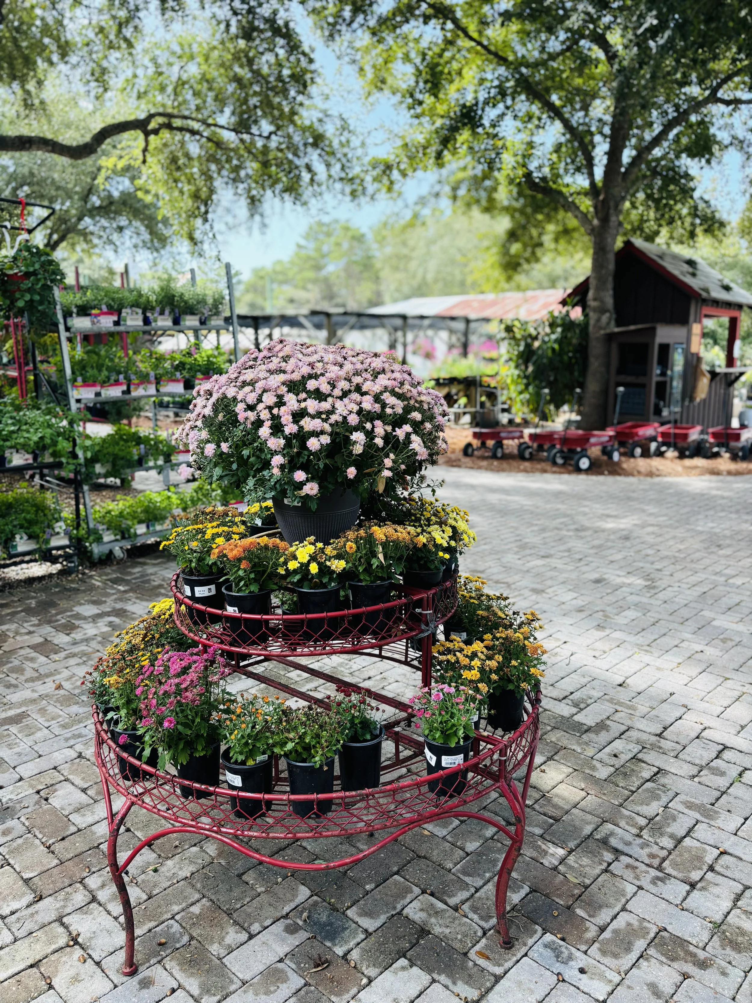 Local Favorites: My Go-To Gift Shops on 30A