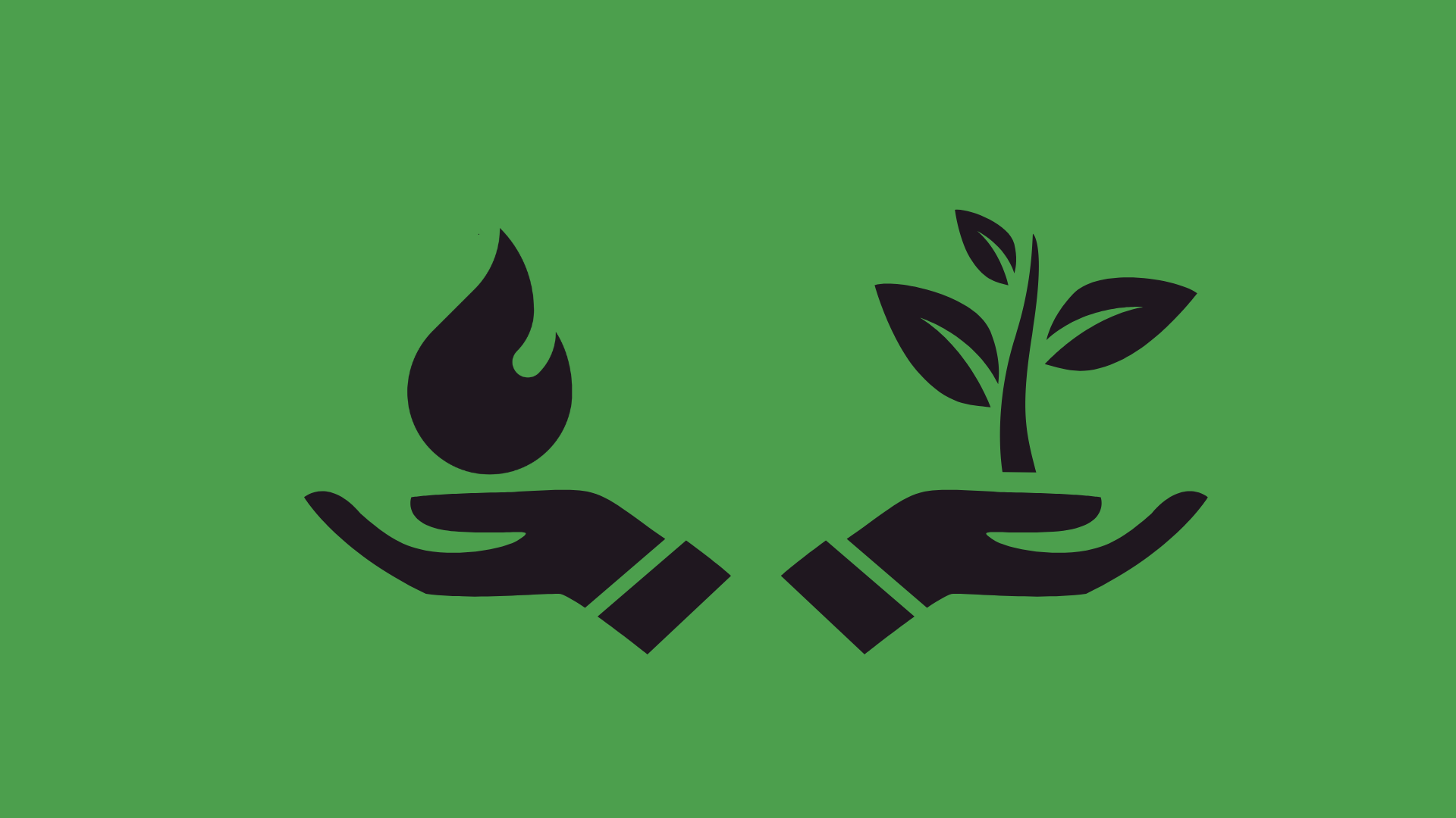 Icon of two hands, one holding a flame and the other holding a growing plant, representing environmental protection, sustainability and initiative.