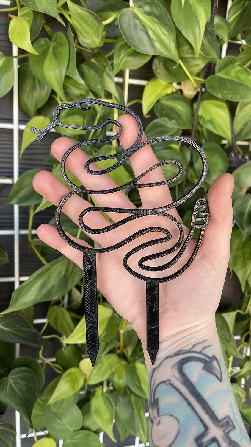 black rattlesnake trellis.jpg