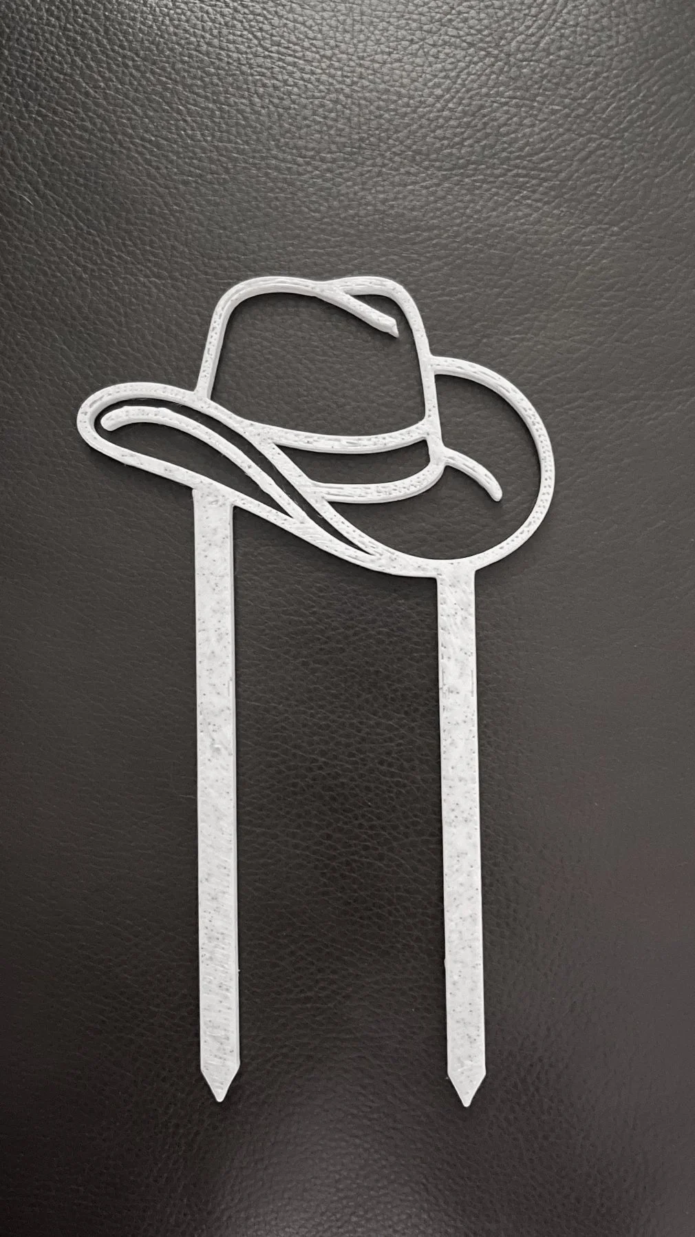 cowboy hat trellis.jpg