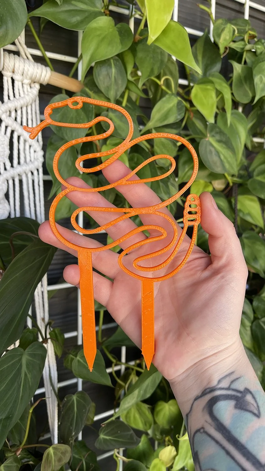 orange rattlesnake trellis.jpg