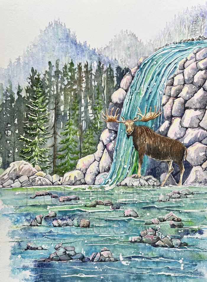 Forest Bathing Moose.#1335.PaulaMillhouse.Web.png