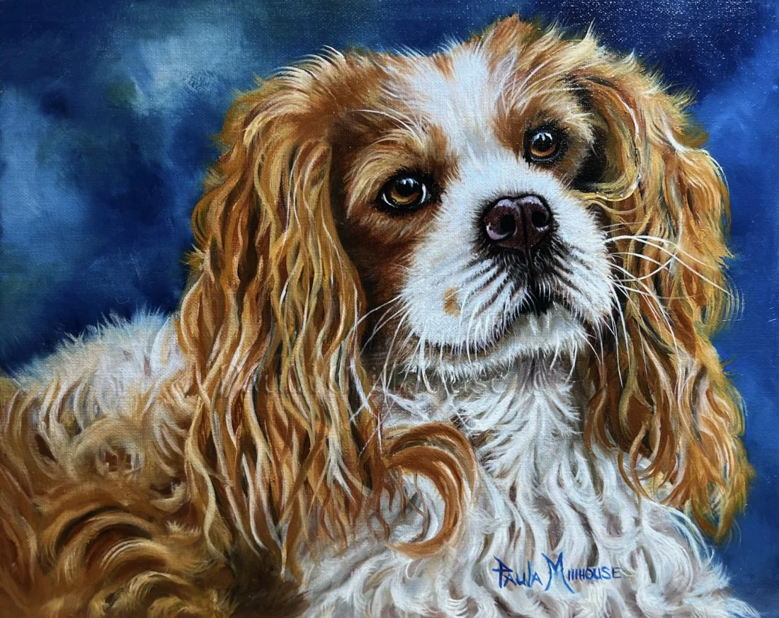 custom-oil-dog-pet-portrait-rosie-the-king-charles-cavalier-spaniel-paula-millhouse.Web.jpg