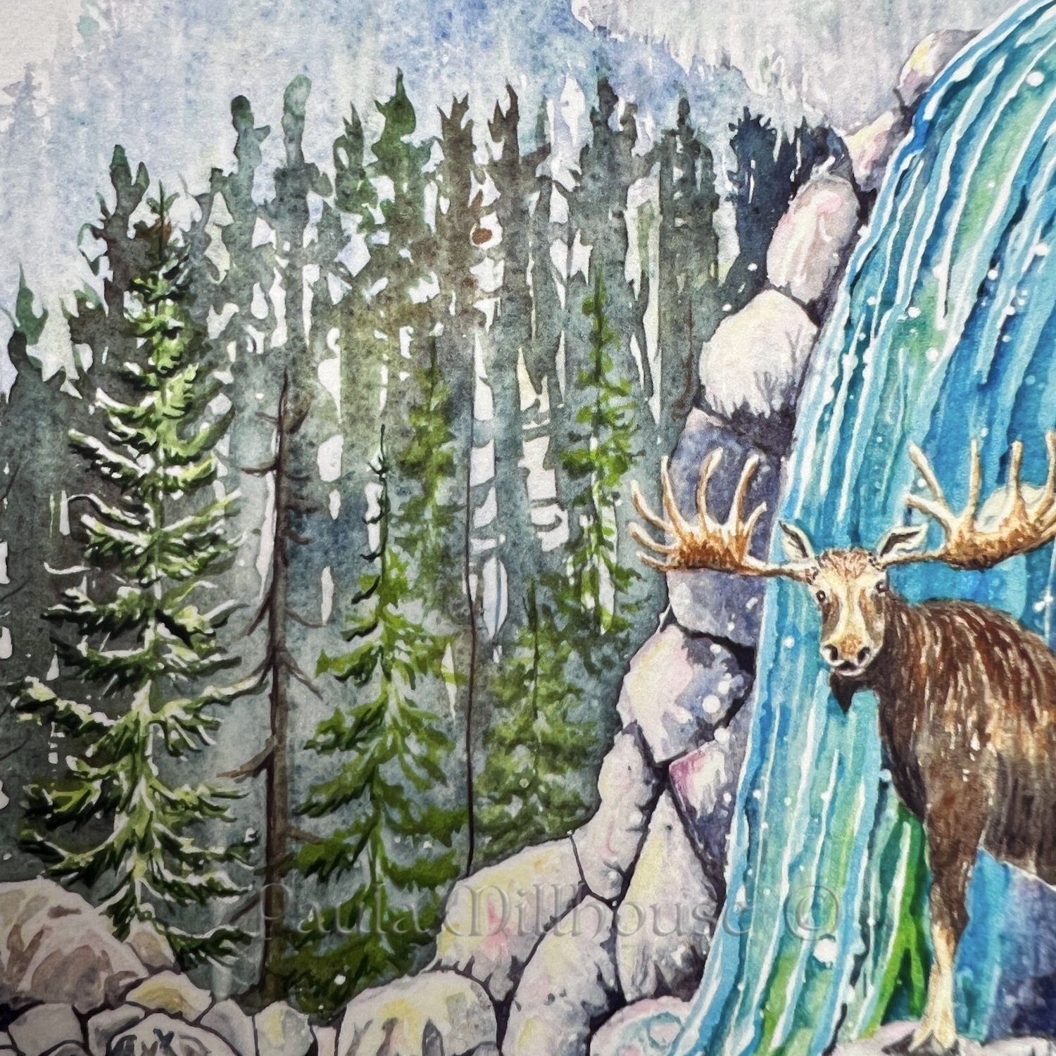 Forest Bathing Moose 3.Paula Millhouse Fine Art.Web.jpg