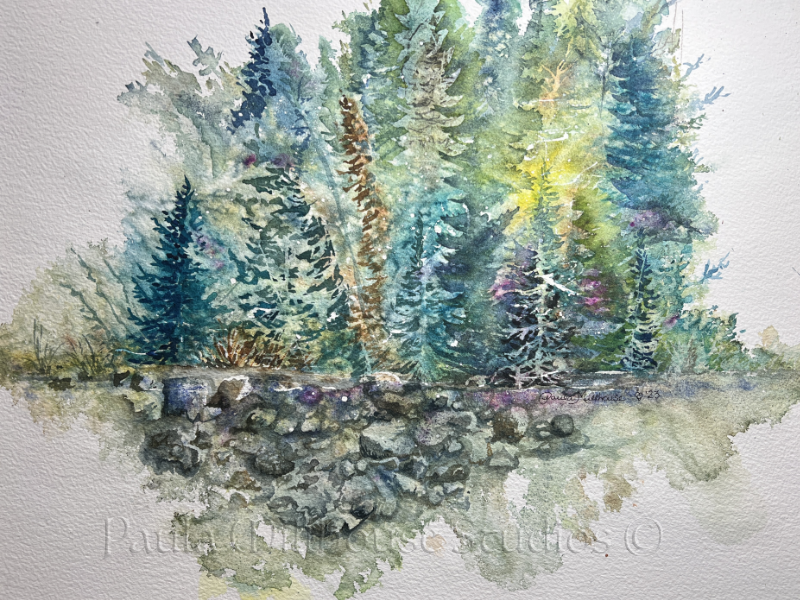 Forest Bathing