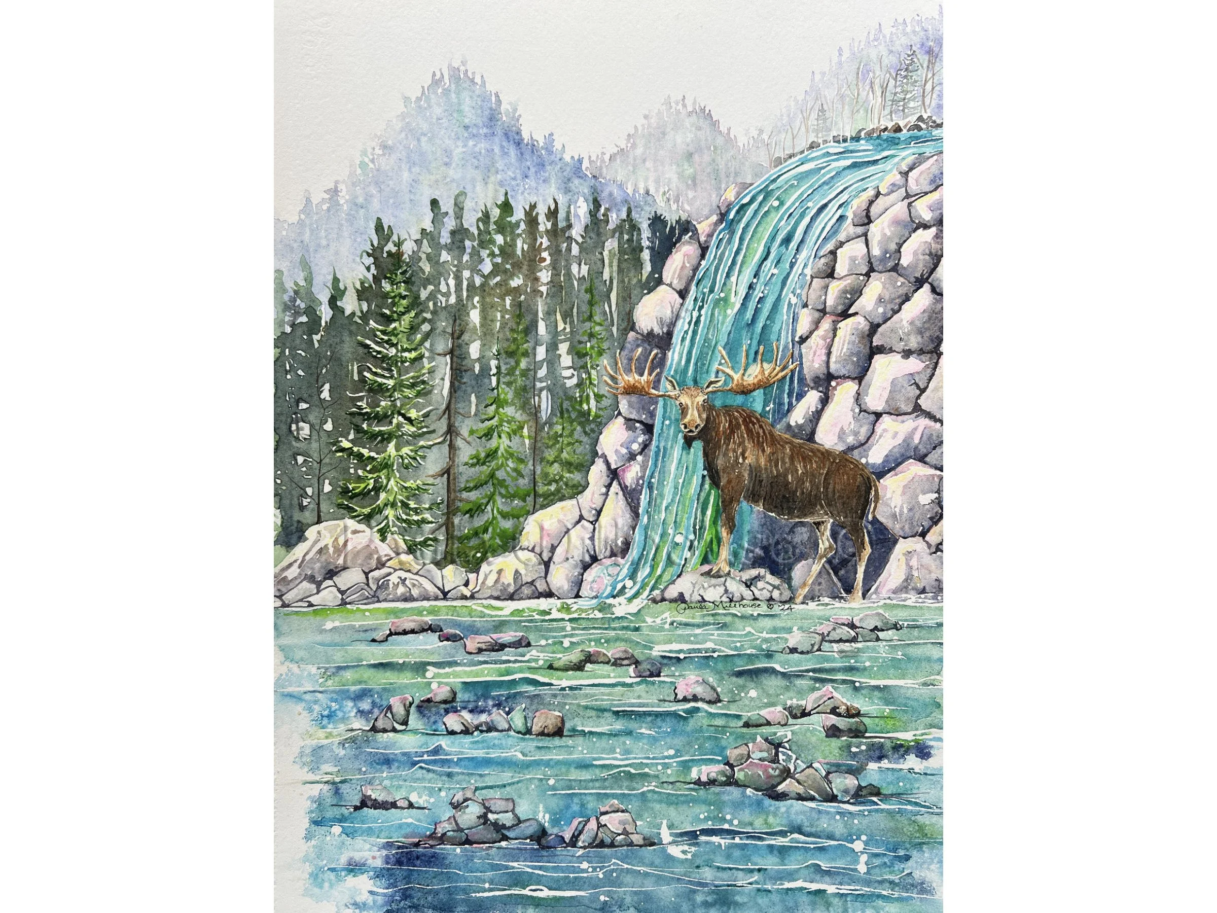 Forest Bathing Moose.#1335.PaulaMillhouse.Web.SQSP.jpg