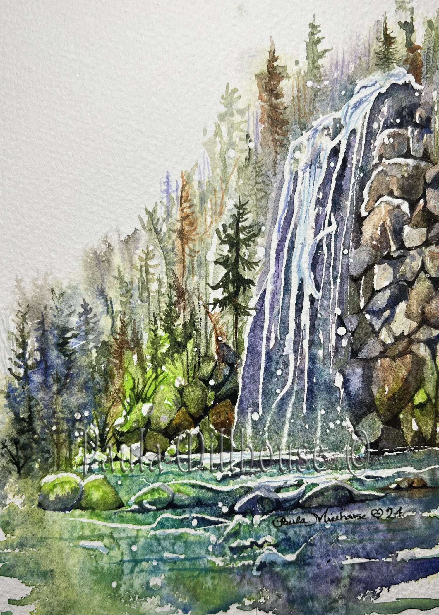 Blue Ridge Waterfall Cascade.#1317.PaulaMillhouse.Web.jpg