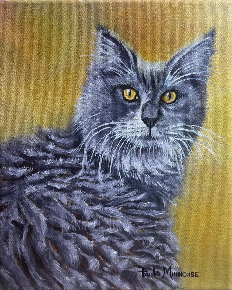 Ragdoll-Cat-Pet Portrait-Oil-Painting-by-Paula-Millhouse.Web.jpg