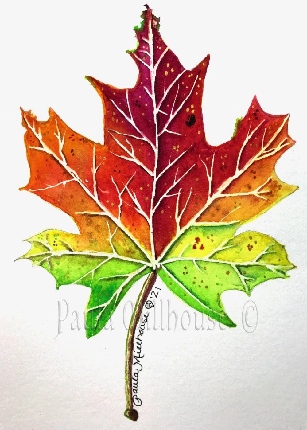 Torch of Autumn.#1145.Paula Millhouse.Web.jpeg