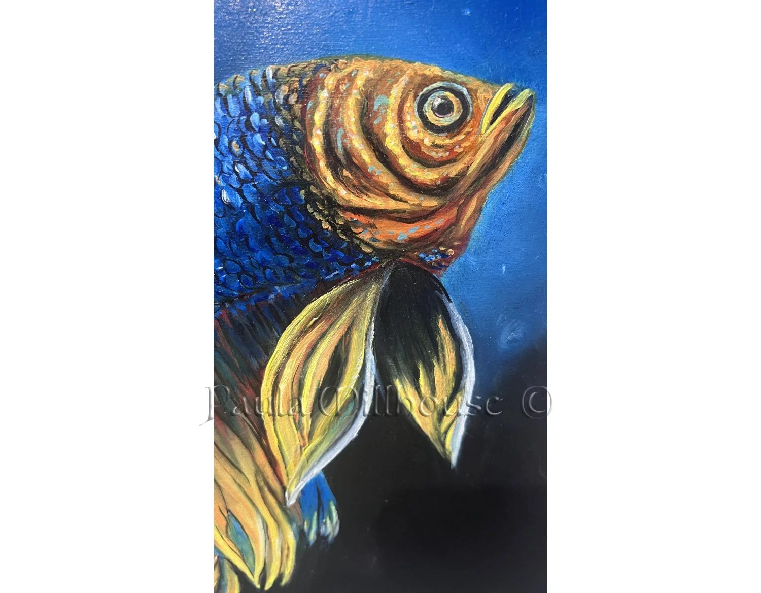 3.Betta-Fish-Underwater-Jewel-Wildlife-Oil-Painting-Paula-Millhouse.Web..jpg