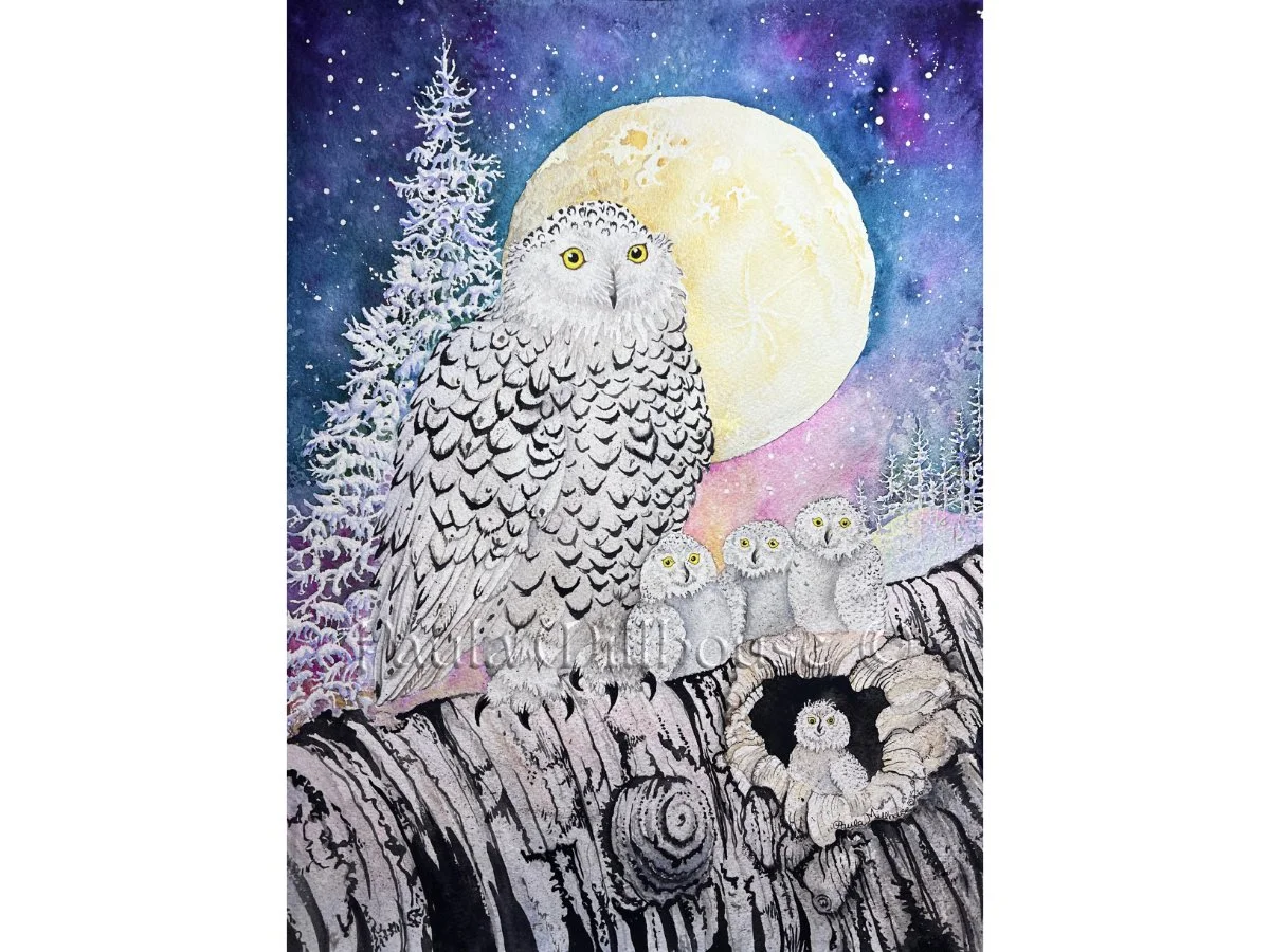 February's Snow Moon—Snowy Owls ❄️ 🦉 ✨