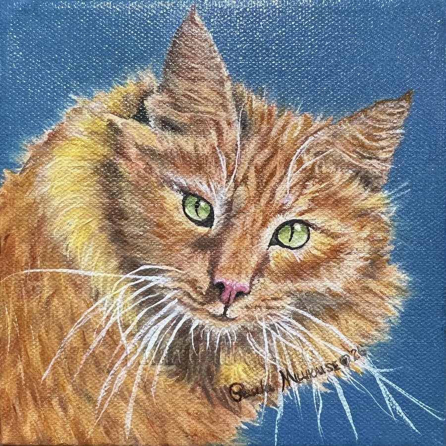 custom-oil-cat-pet-portrait-Lucky-Charms-paula-millhouse.jpg.Web.jpg
