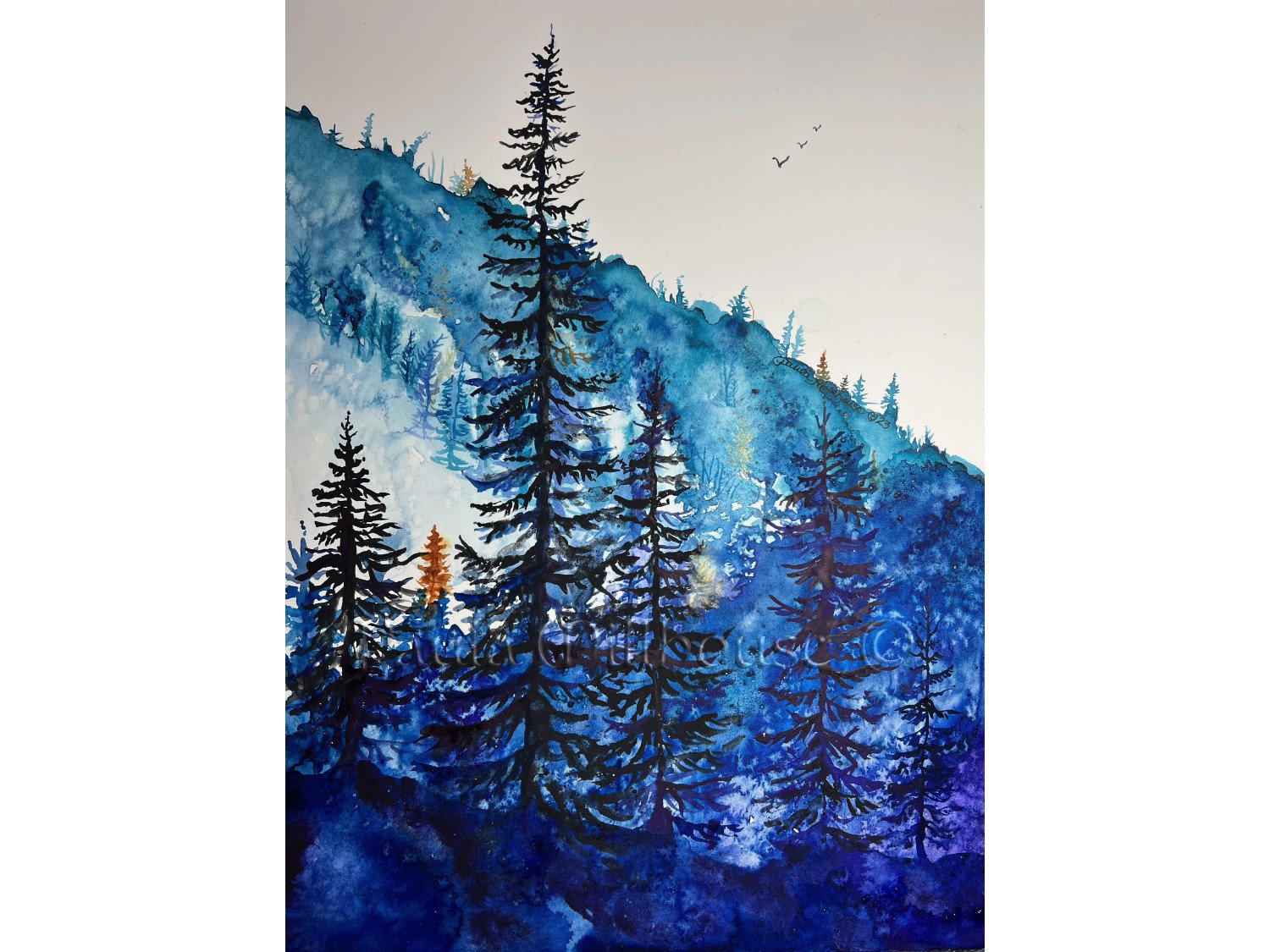 Blue Ridge Mountains - Revernce.1317.Paula MIllhouse Fine Art.Web.jpg