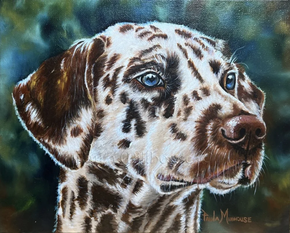custom-oil-dog-pet-portrait-dalmatian-paula-millhouse.Web.jpg