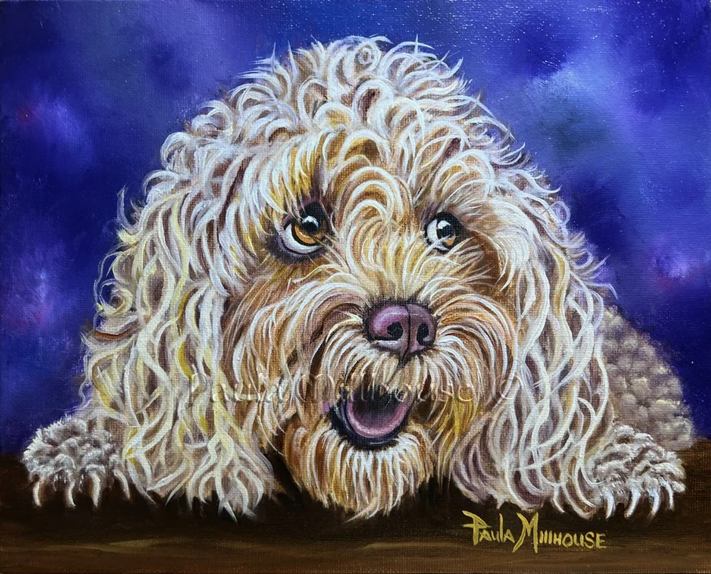 custom-oil-dog-pet-portrait-cockapoo-paula-millhouse.Web.jpg