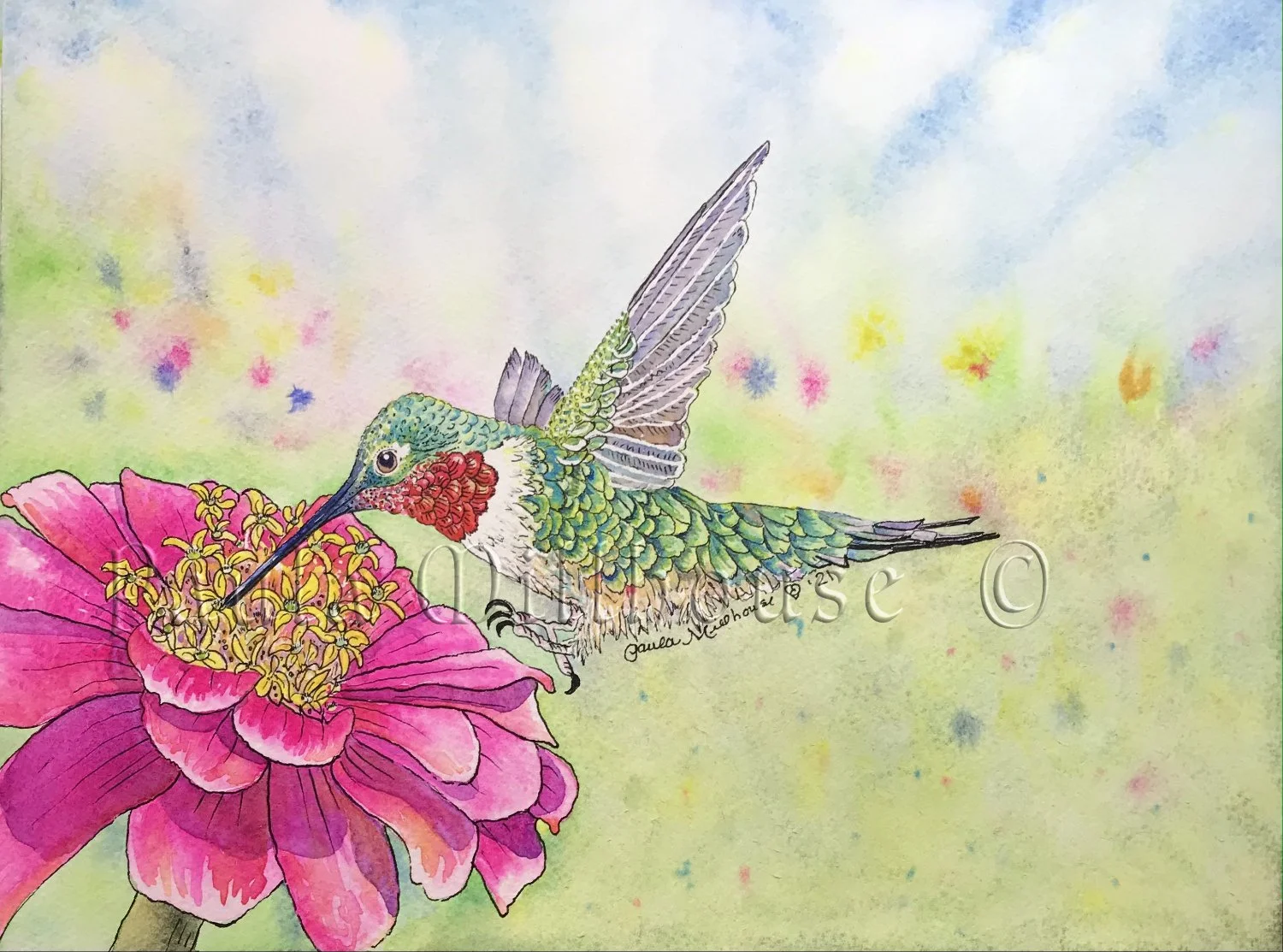 Ruby-throated hummingbird hovering near a vibrant zinnia flower in a summer garden, watercolor painting by Paula Millhouse.