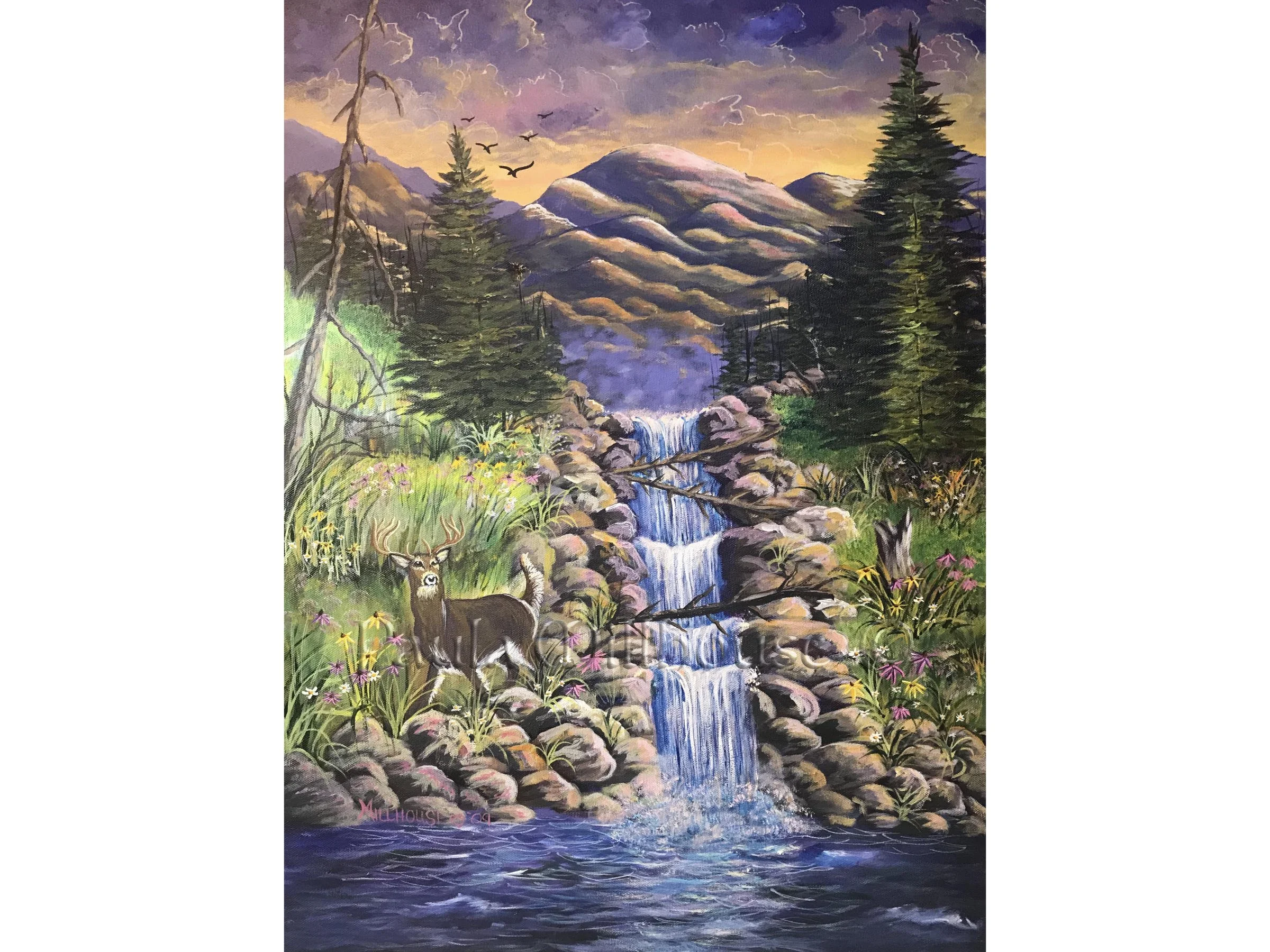 His Majesty's Mountain Waterfall.#1051.PaulaMillhouse.Web.jpg