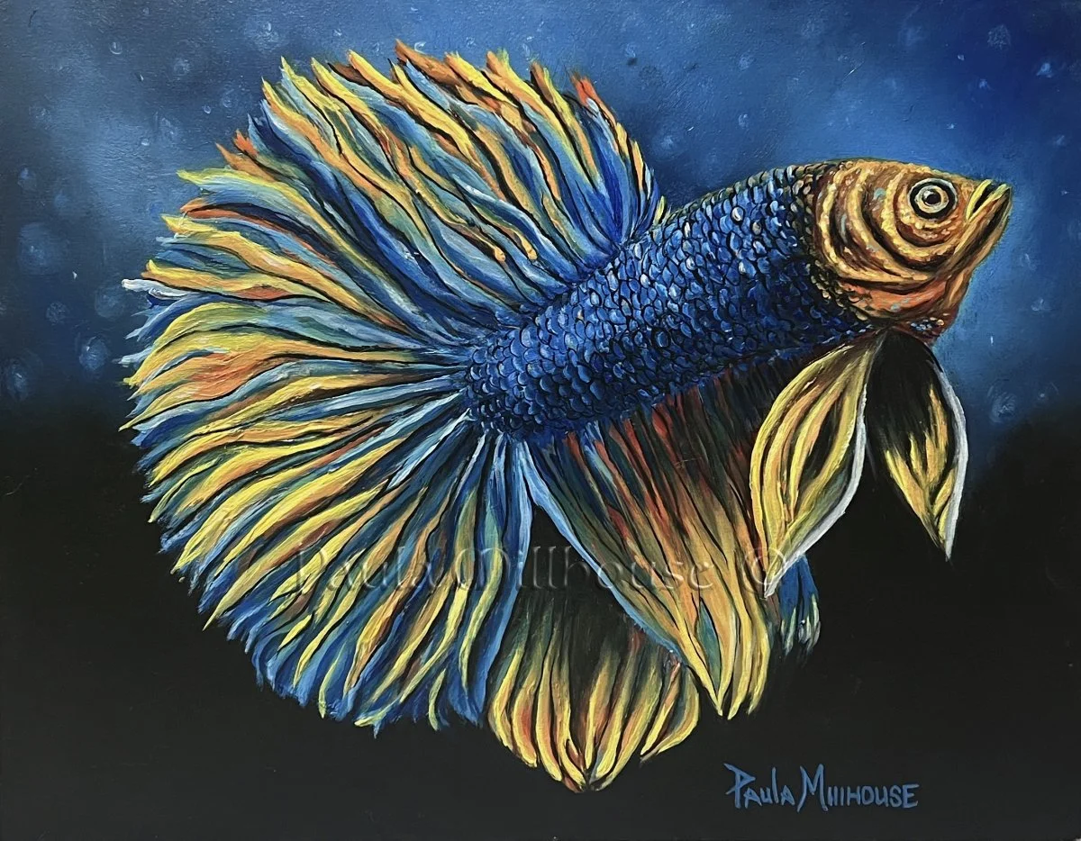 Original oil painting of a brilliant blue and gold Betta fish swimming through deep blue water, painted on 11x14 cradled wood panel by wildlife artist Paula Millhouse.