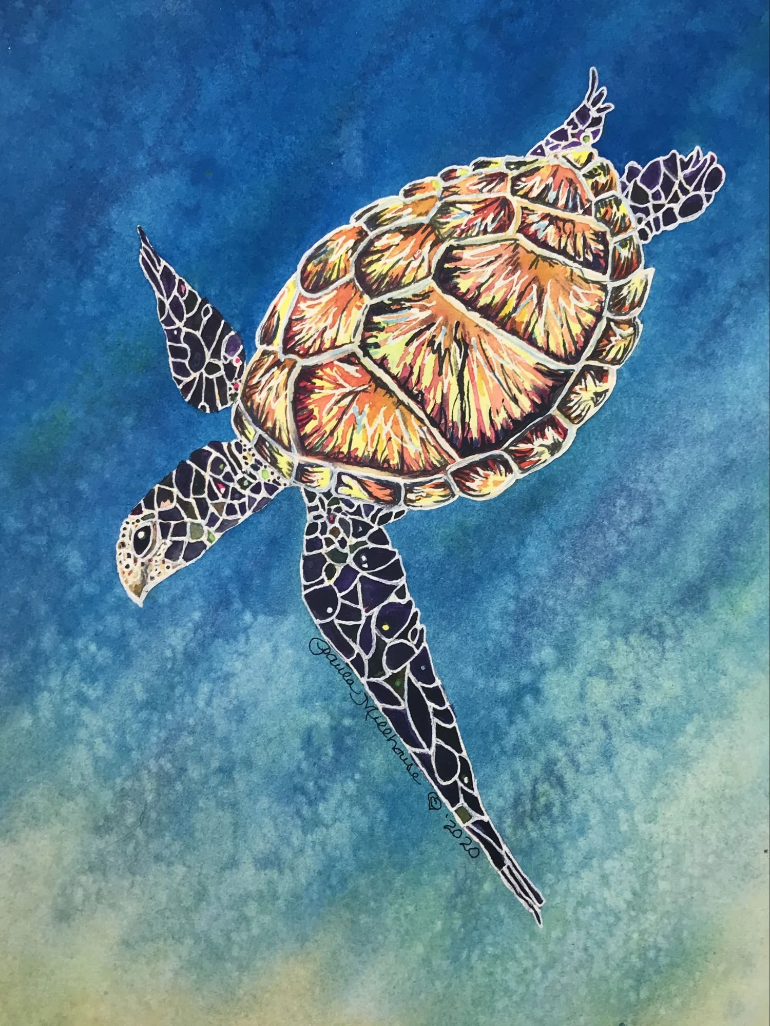 Colorful watercolor of a sea turtle gliding peacefully through blue ocean water by Paula Millhouse Fine Art.