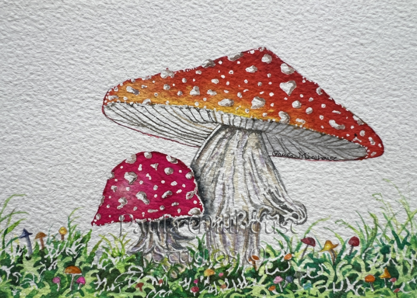 Fairy Tale Mushrooms.#1224.Paula Millhouse.Web.png