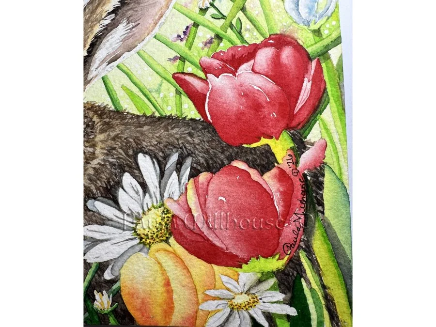 Brown hare sitting among colorful spring wildflowers including tulips and daisies, wildlife watercolor by Paula Millhouse.
