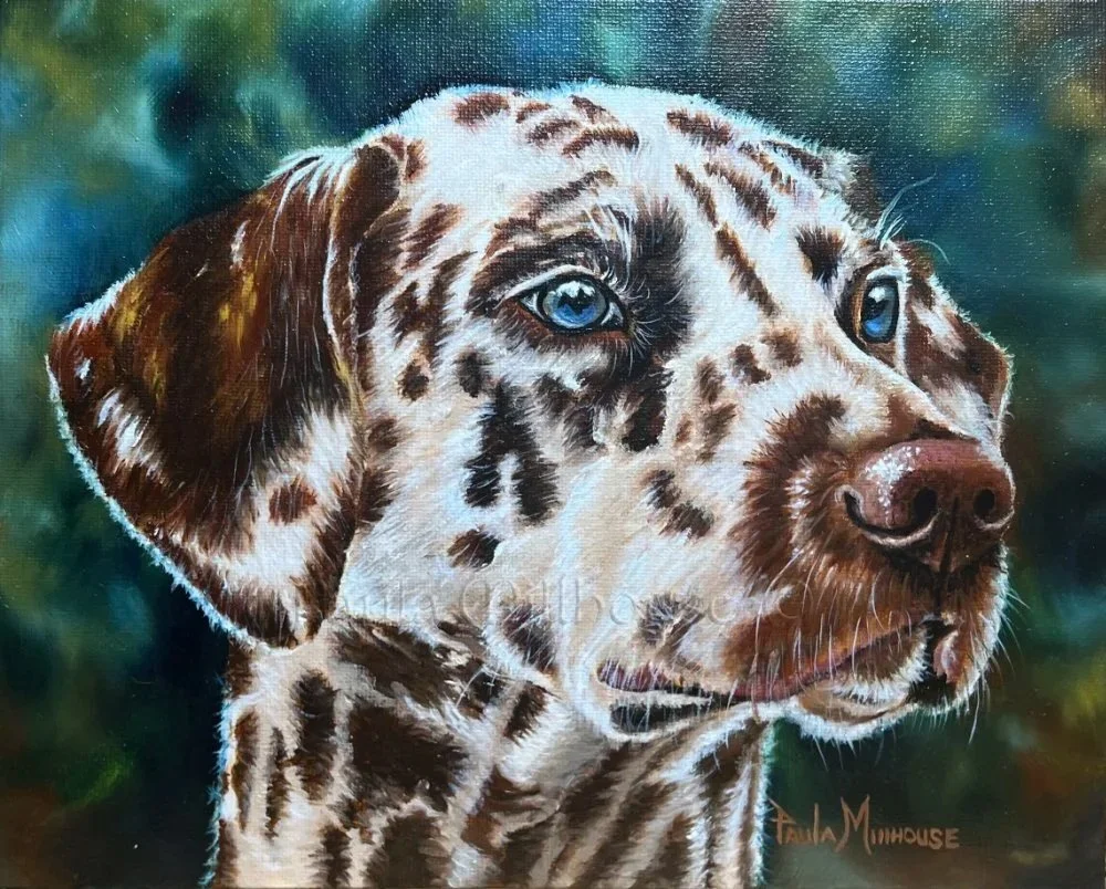 custom-oil-dog-pet-portrait-dalmatian-paula-millhouse.Web.jpg